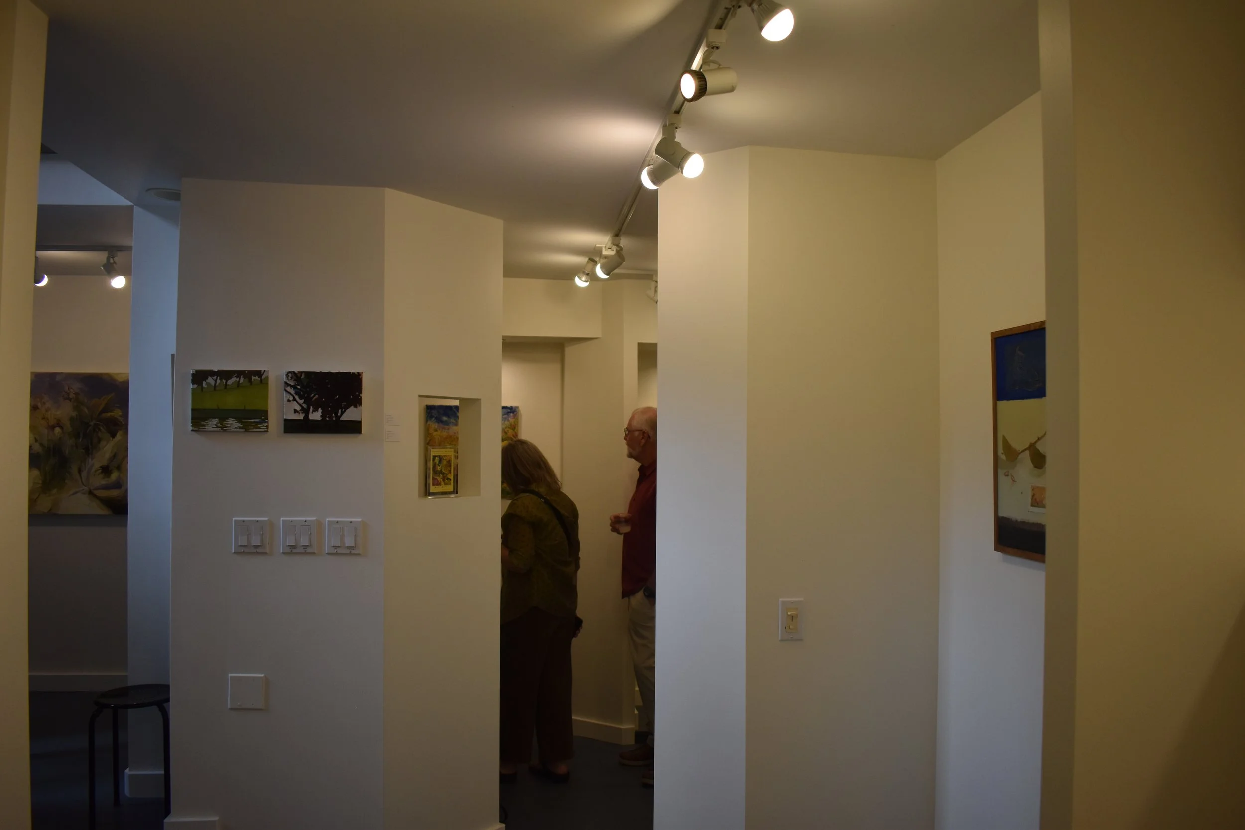 DSC_0060.JPG
