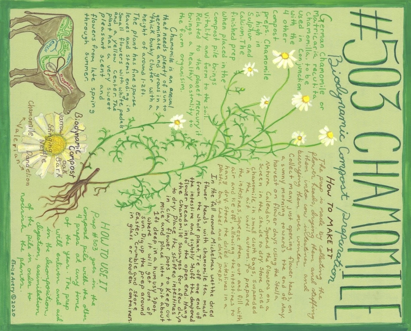 Biodynamic Prep #503