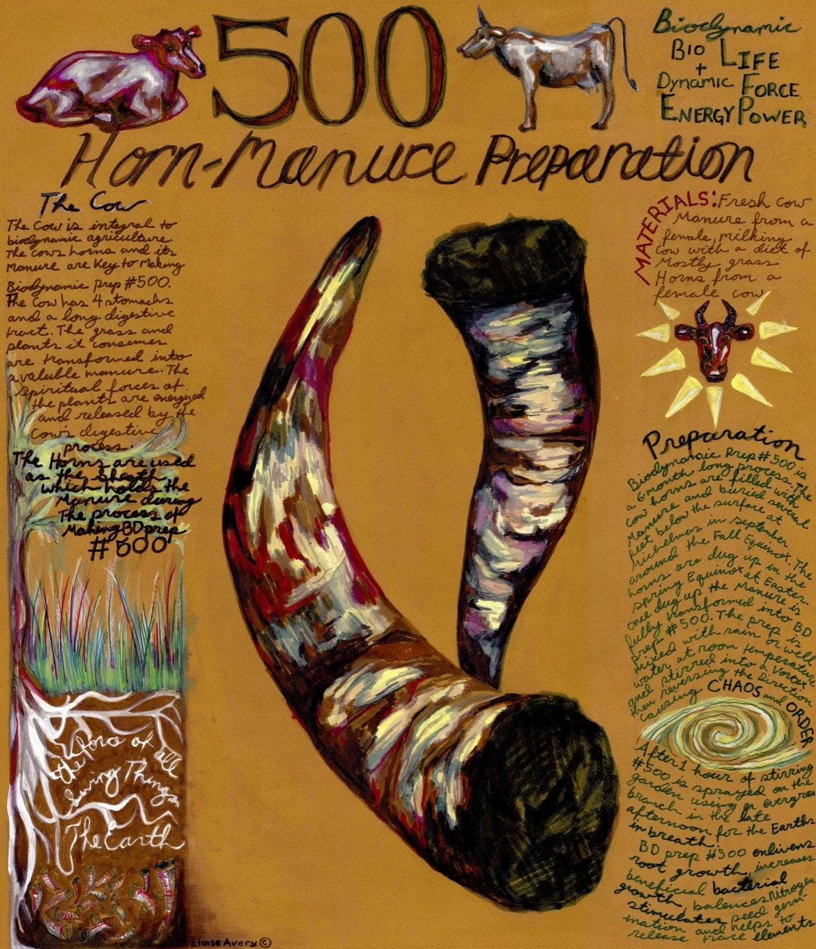 500 Final Cropped copy.jpg