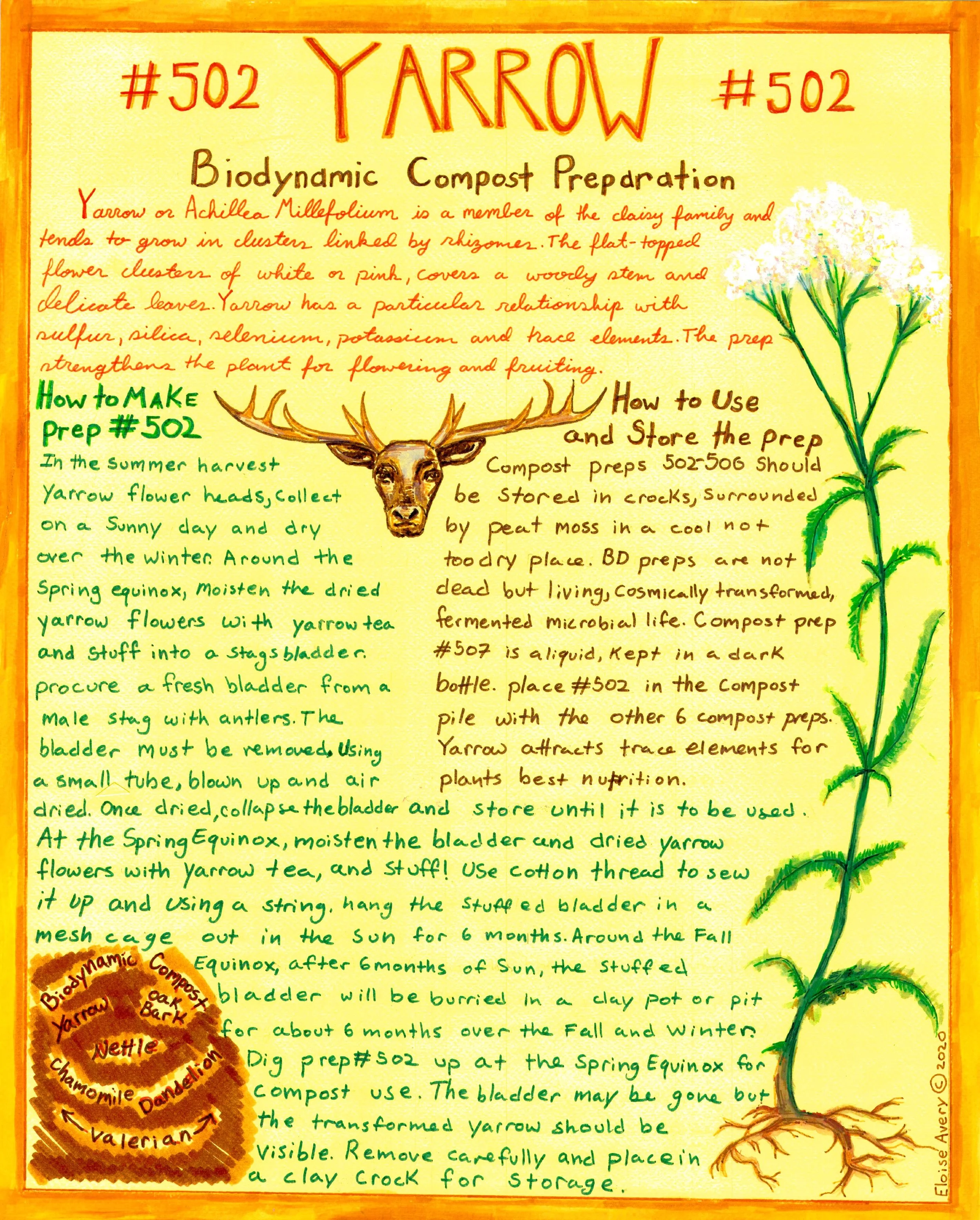 poster 502 cropped copy.jpg