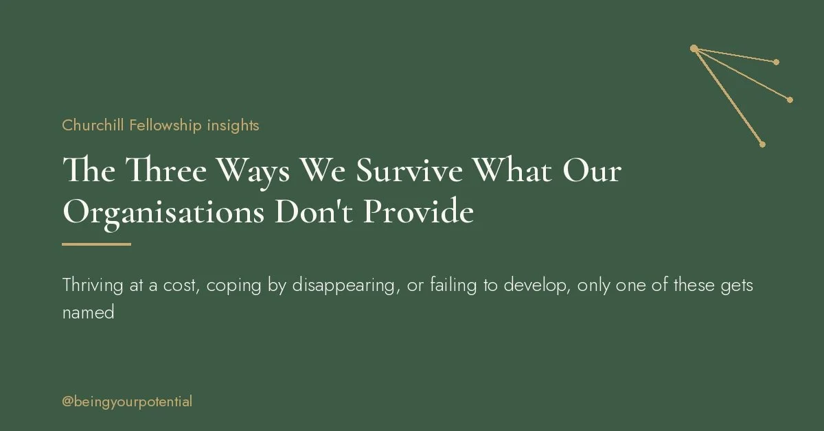 The Three Ways We Survive What Our Organisations Don't Provide