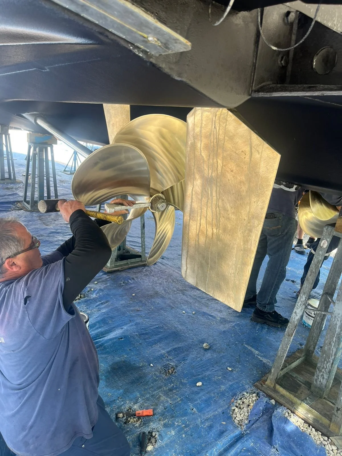 WhatsApp Image 2026-02-07 at 12.19.52 PM (3).jpeg