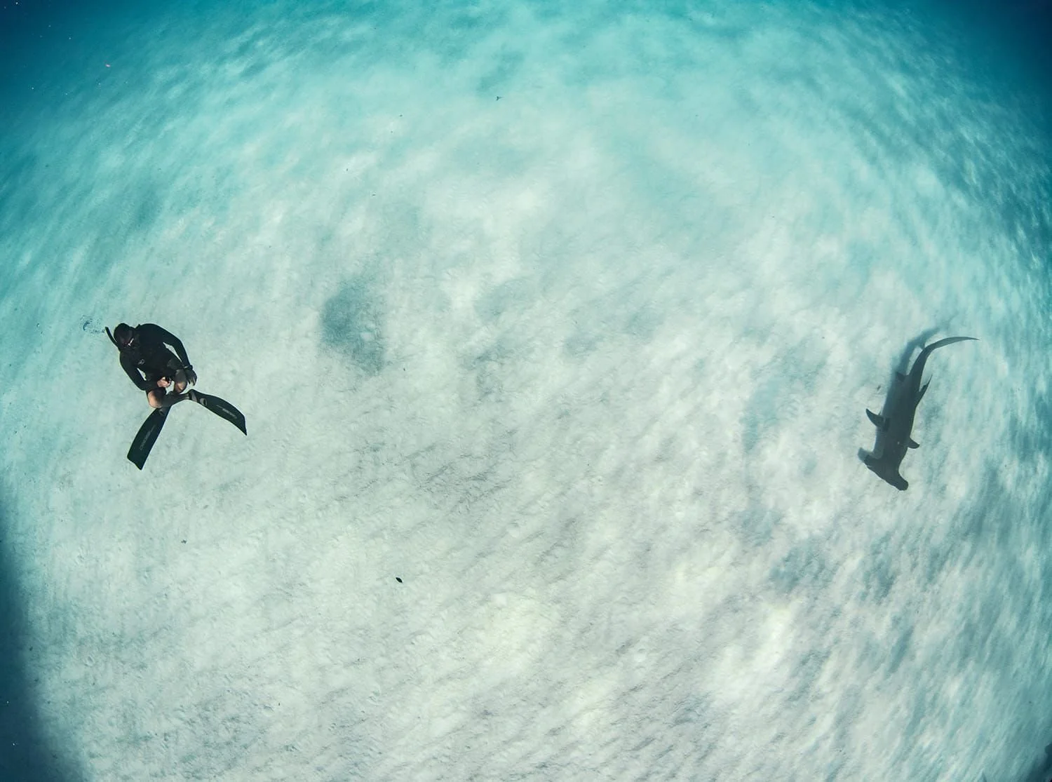 WhatsApp Image 2026-02-07 at 12.47.52 PM (7).jpeg