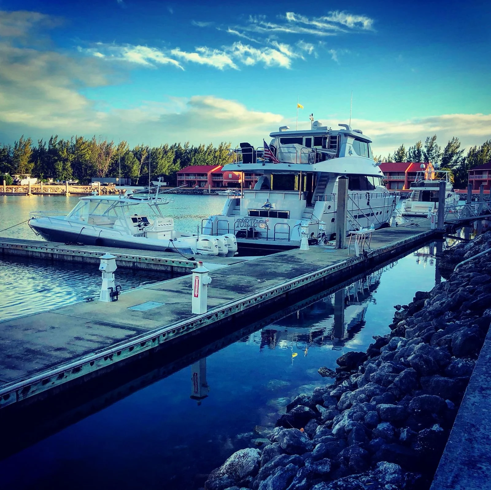 WhatsApp Image 2026-02-07 at 12.47.53 PM.jpeg