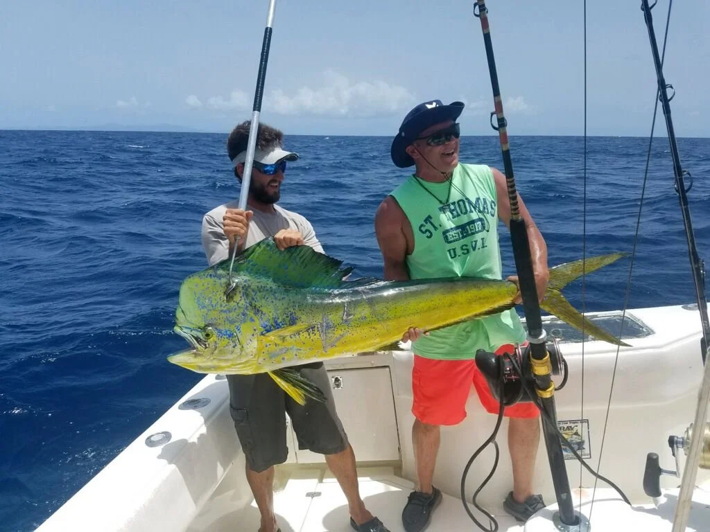 WhatsApp Image 2026-02-07 at 12.47.55 PM (2).jpeg