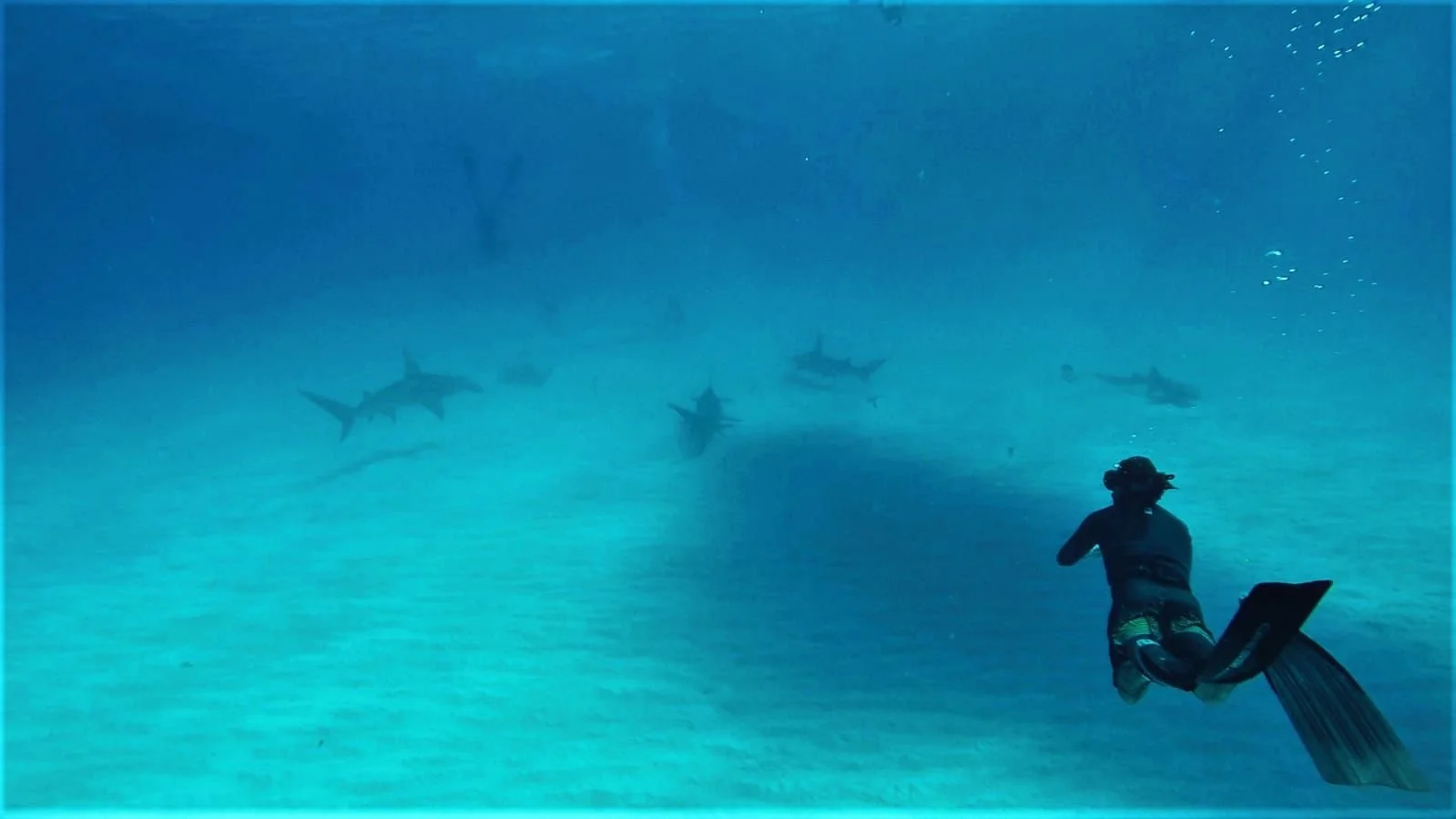 WhatsApp Image 2026-02-07 at 12.47.52 PM (5).jpeg