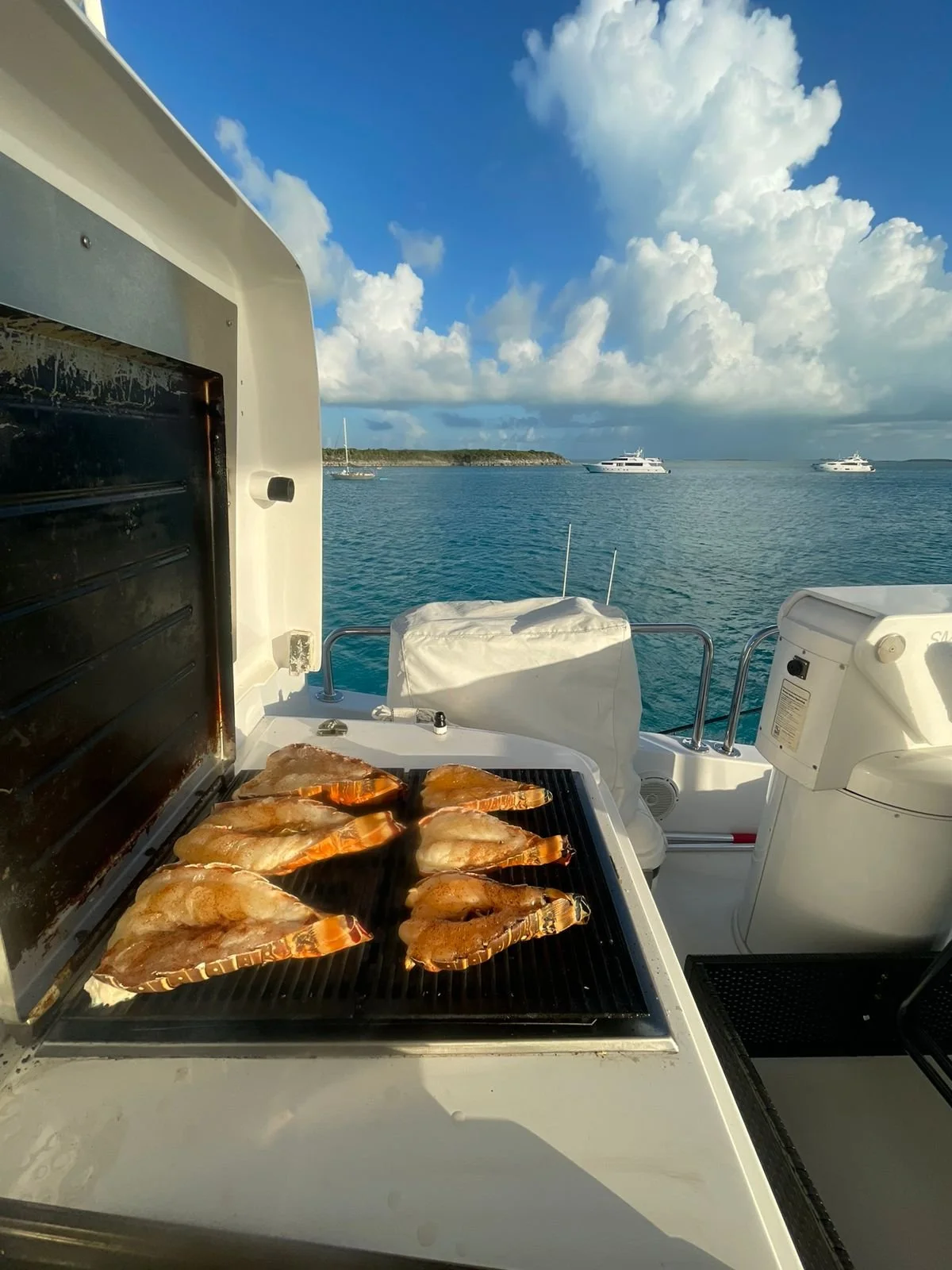 WhatsApp Image 2026-02-07 at 12.47.52 PM.jpeg