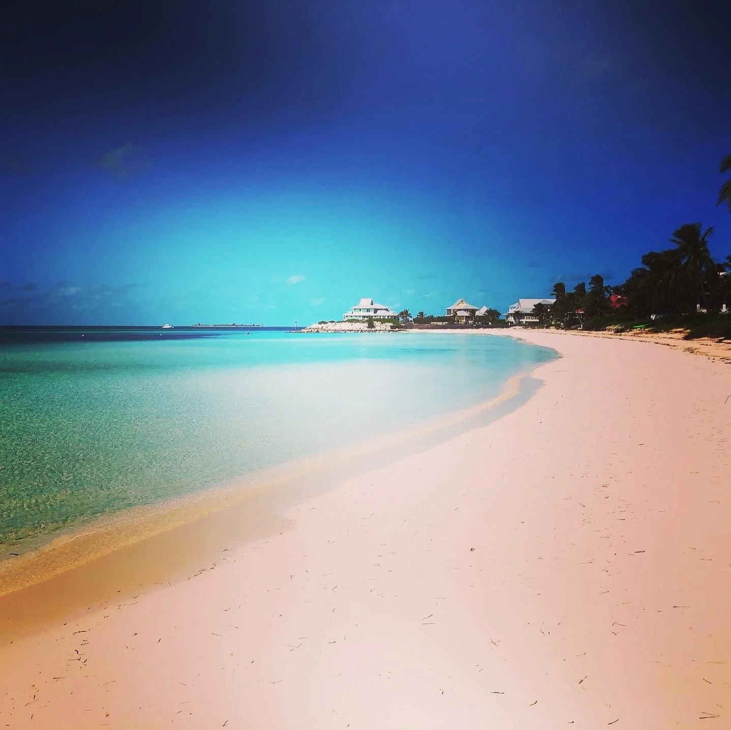 WhatsApp Image 2026-02-07 at 12.47.55 PM (1).jpeg