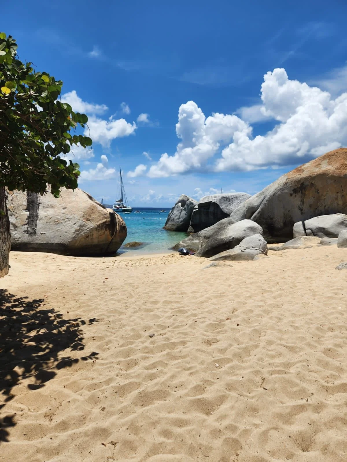 WhatsApp Image 2026-02-07 at 12.47.49 PM (1).jpeg