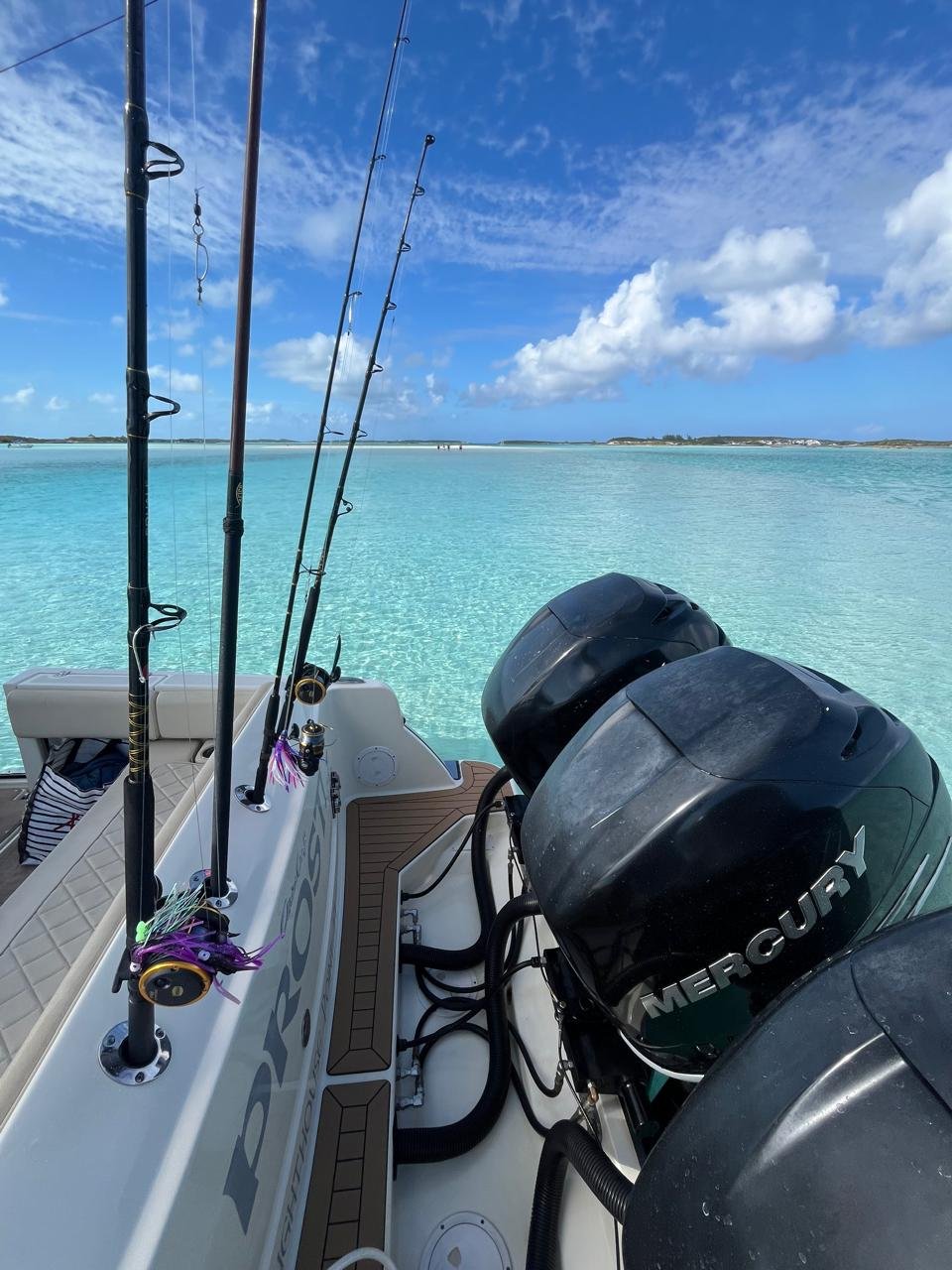 WhatsApp Image 2026-02-16 at 4.04.06 PM.jpeg