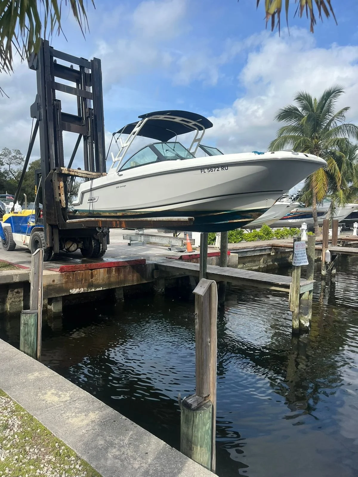 WhatsApp Image 2026-02-07 at 12.35.18 PM.jpeg