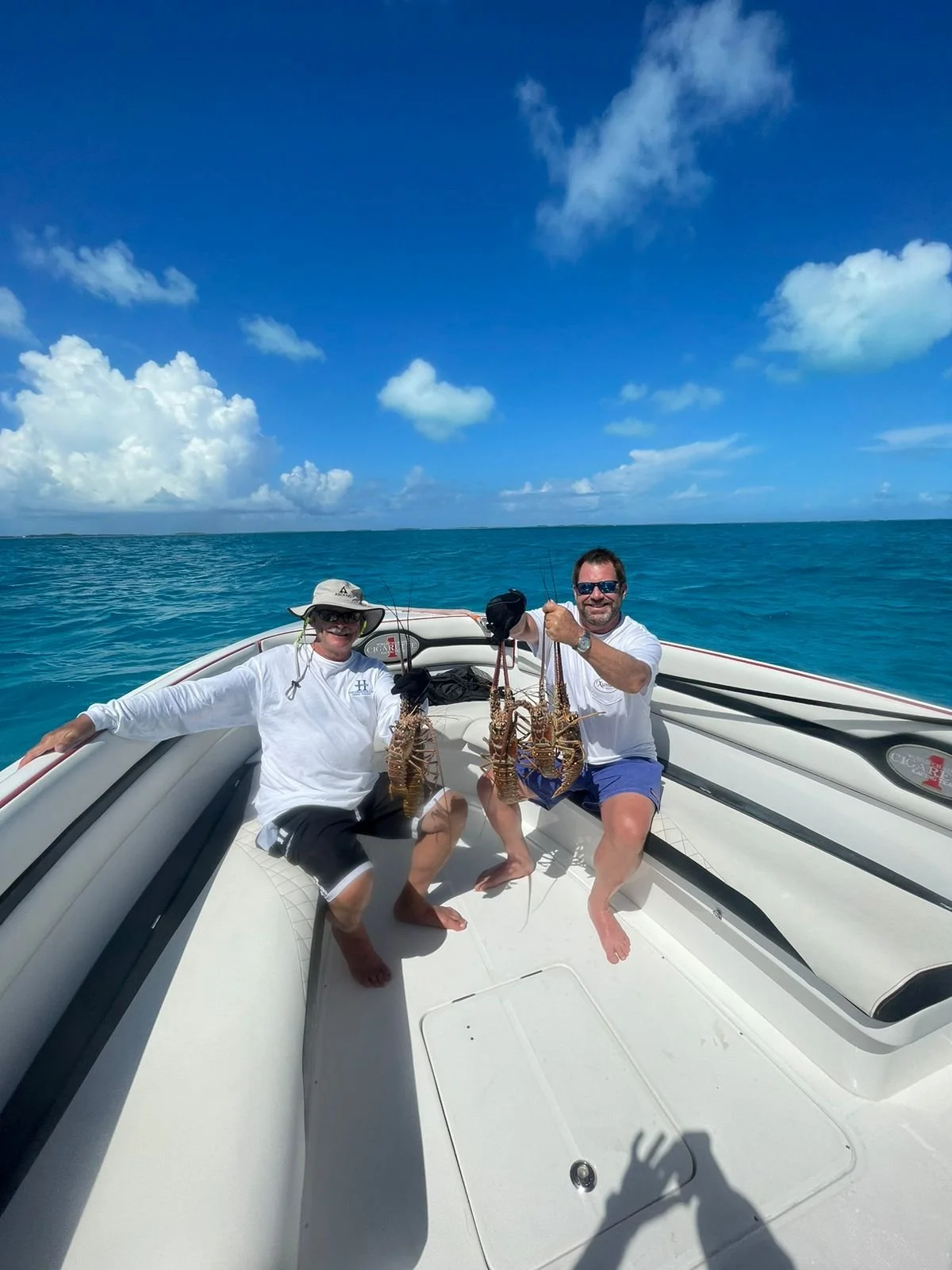 WhatsApp Image 2026-02-07 at 12.47.52 PM (1).jpeg