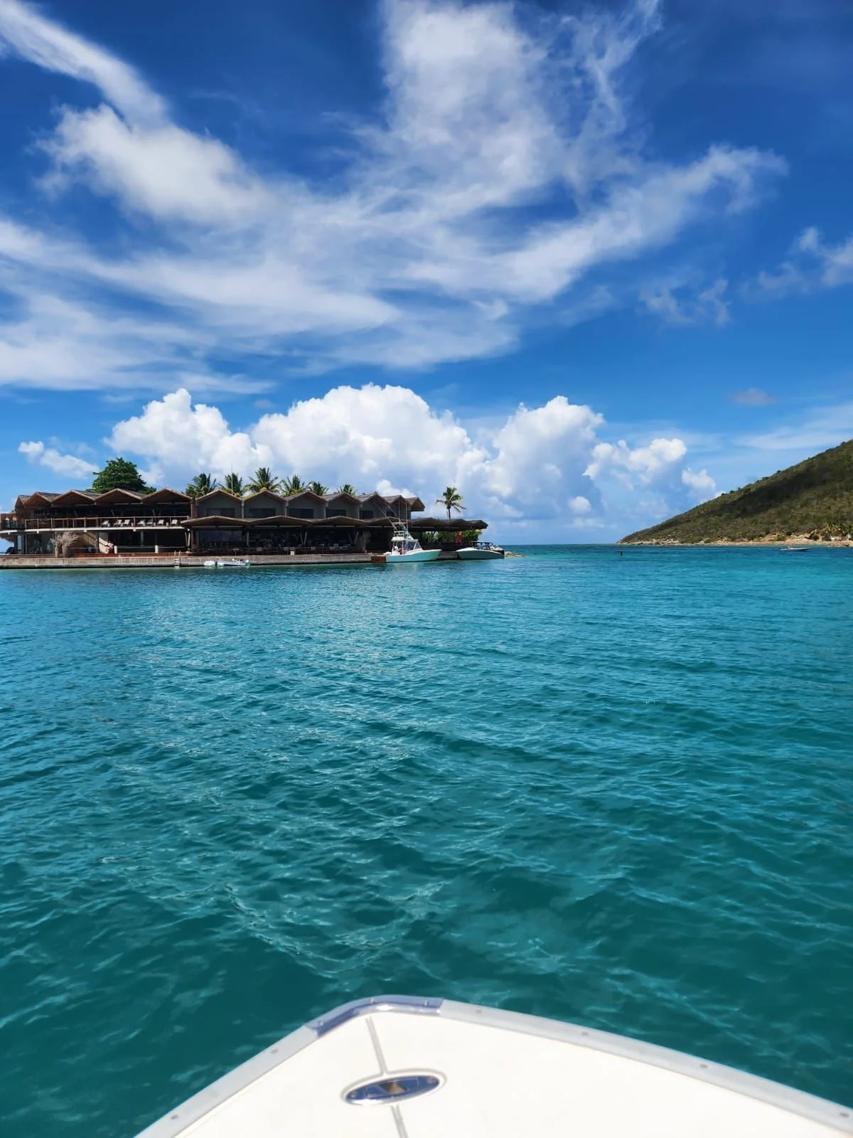 WhatsApp Image 2026-02-07 at 12.47.49 PM (3).jpeg