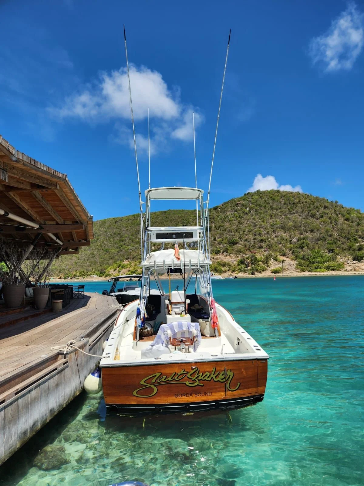 WhatsApp Image 2026-02-07 at 12.47.49 PM (4).jpeg