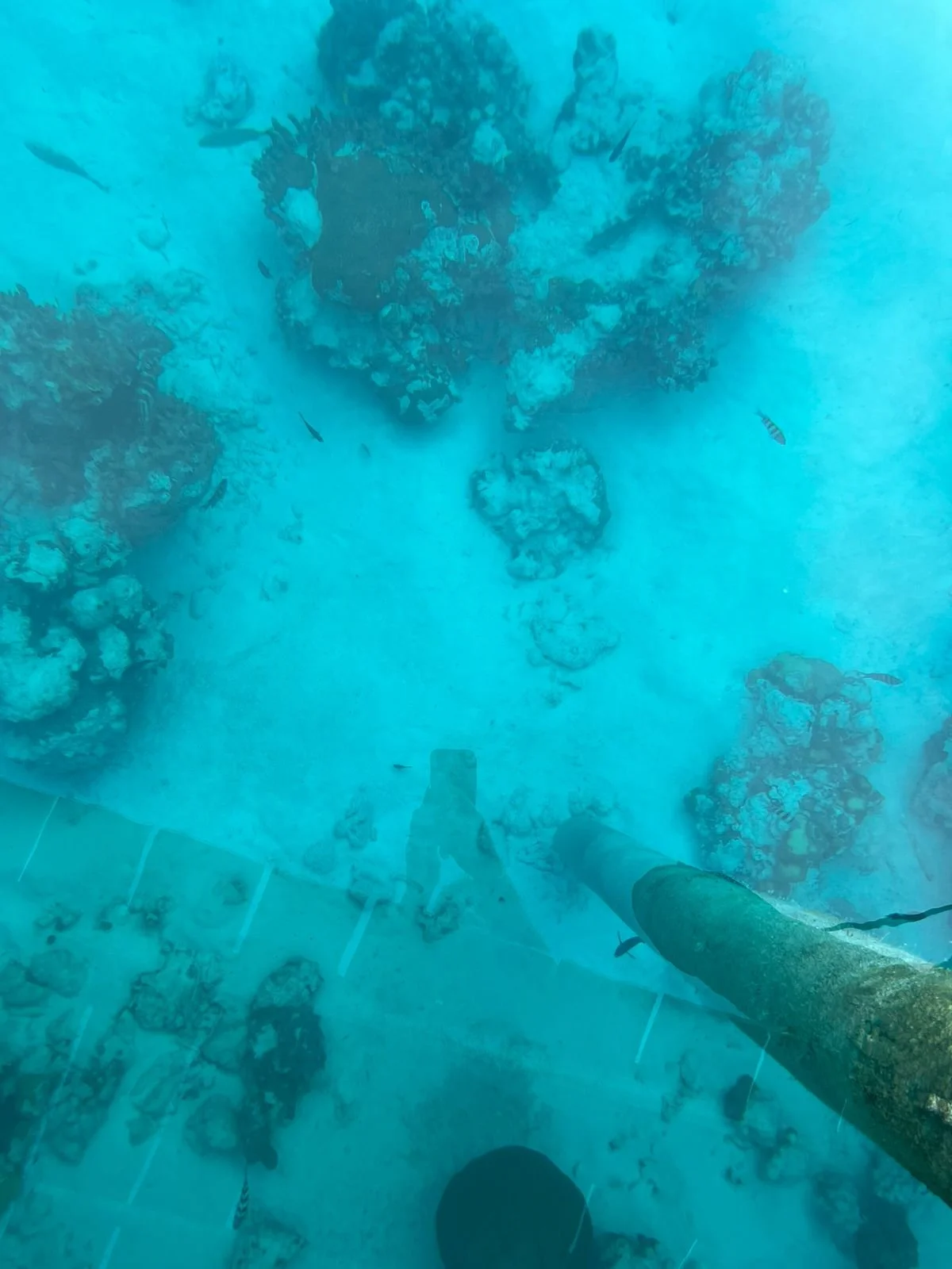 WhatsApp Image 2026-02-07 at 12.35.19 PM (7).jpeg