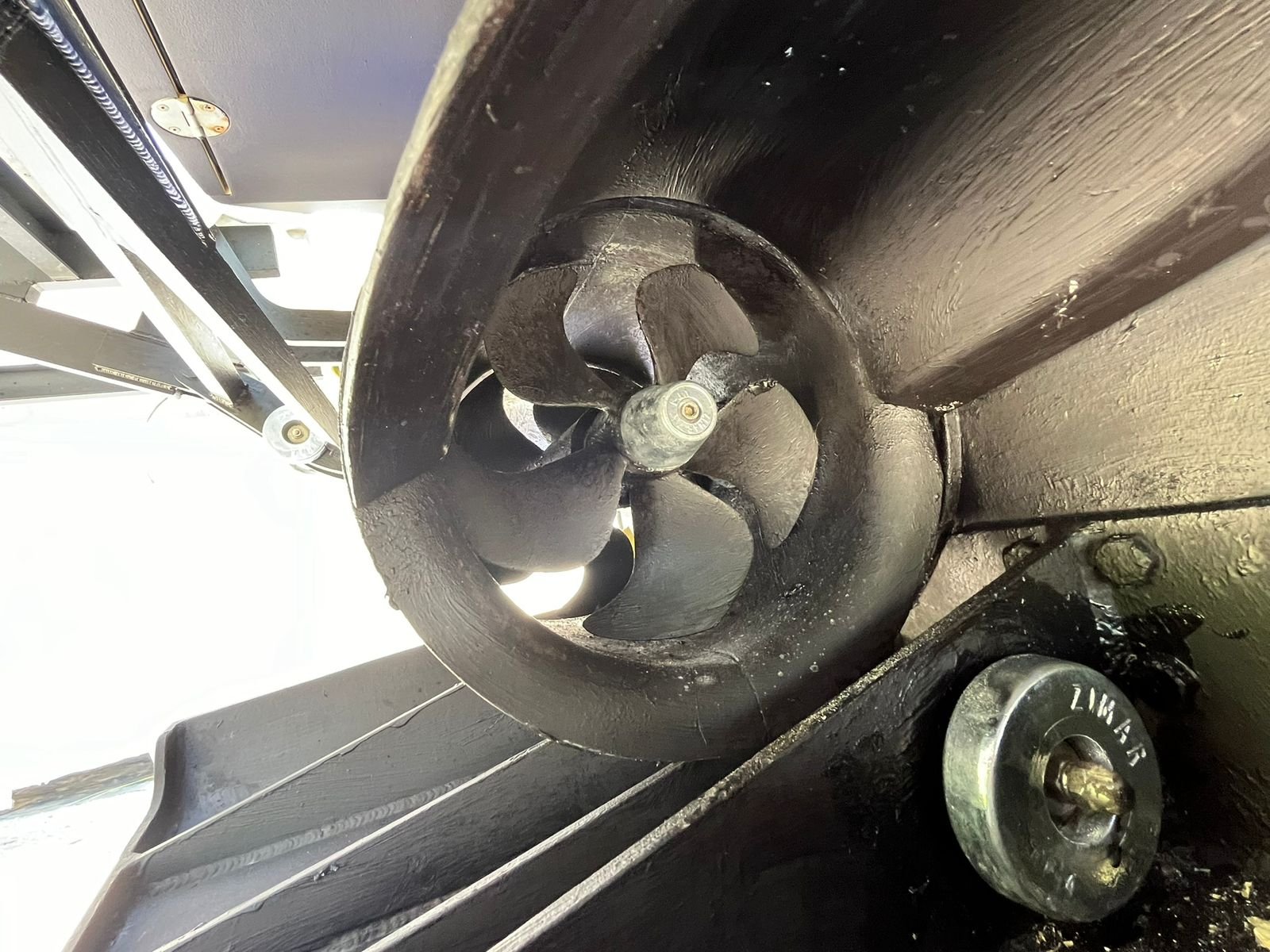 WhatsApp Image 2026-02-07 at 12.19.51 PM.jpeg