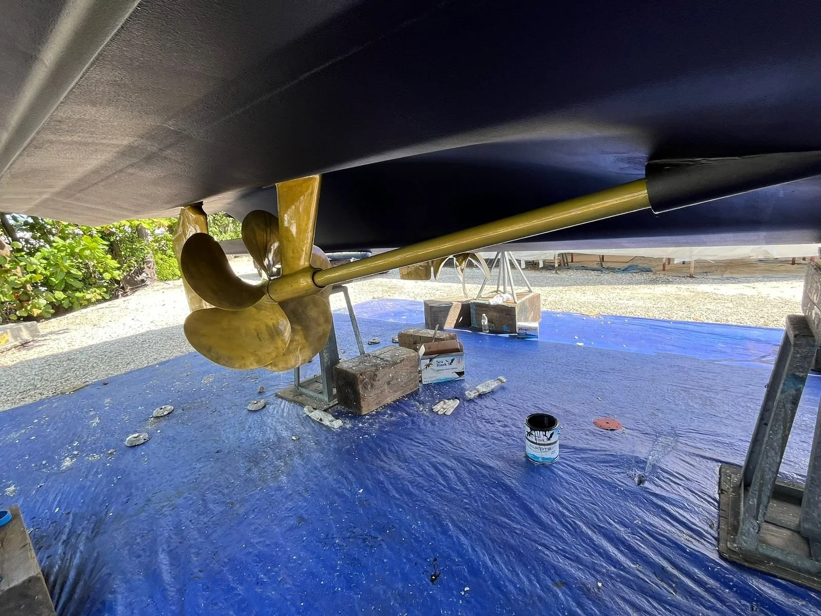 WhatsApp Image 2026-02-07 at 12.19.52 PM (4).jpeg