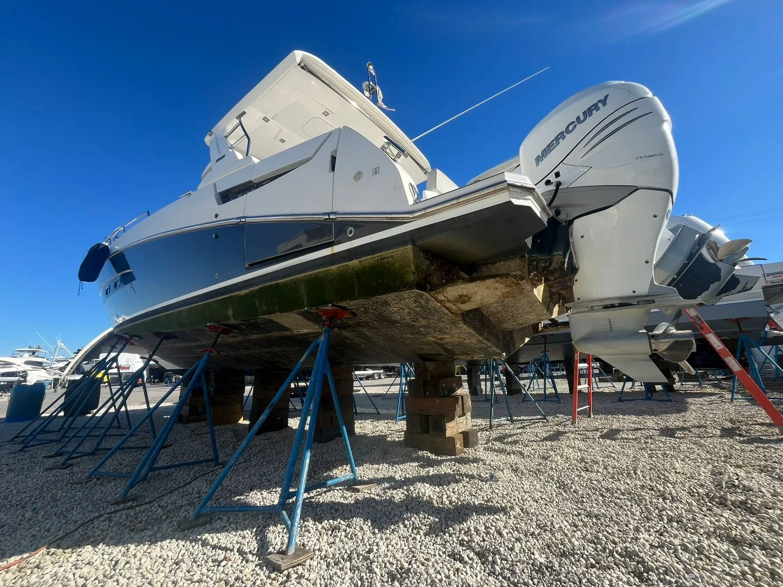 WhatsApp Image 2026-02-07 at 12.35.17 PM.jpeg