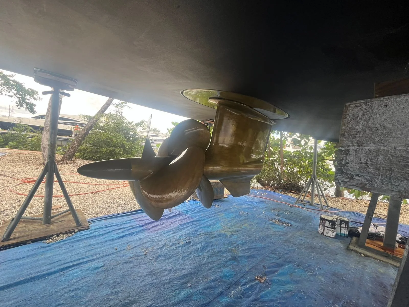 WhatsApp Image 2026-02-07 at 12.35.18 PM (1).jpeg