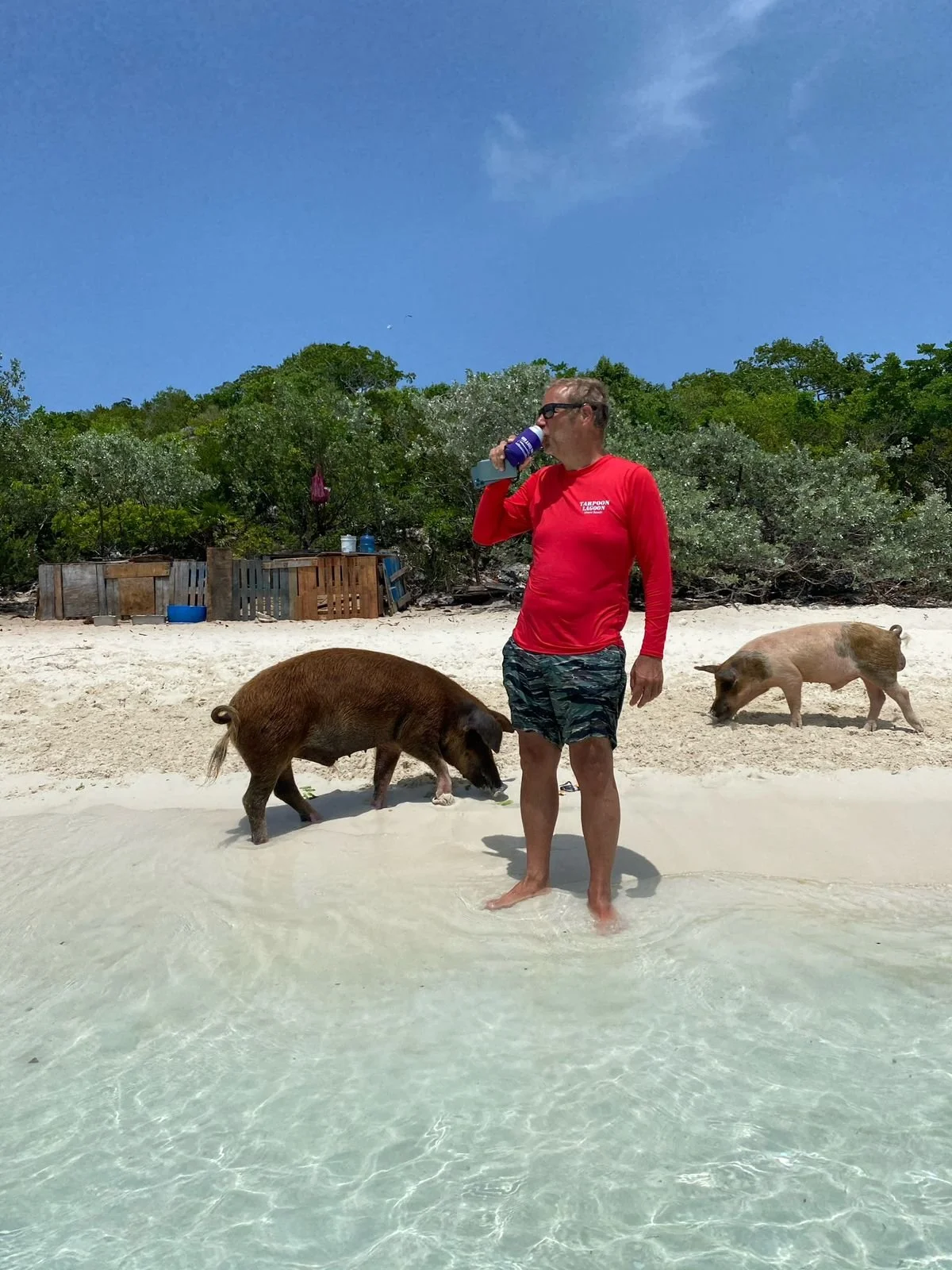 WhatsApp Image 2026-02-07 at 12.26.46 PM56.jpeg