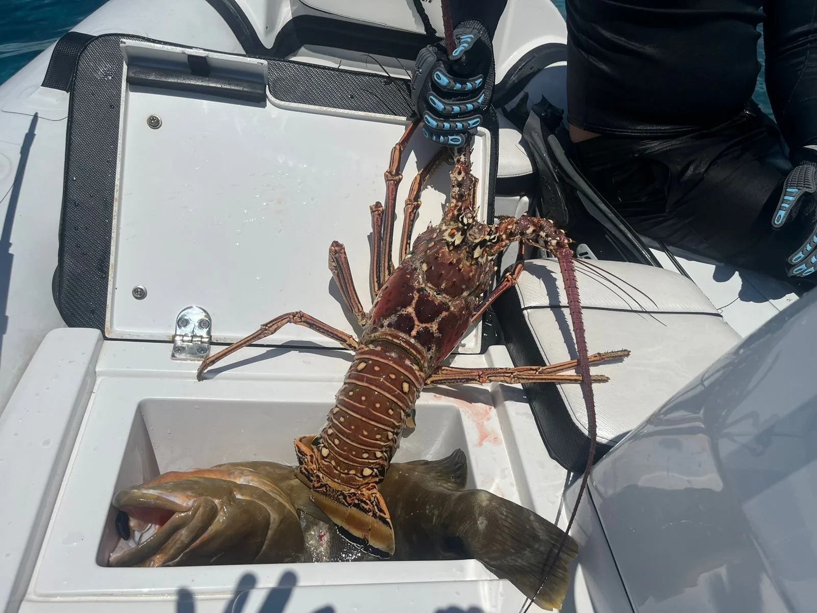 WhatsApp Image 2026-02-07 at 12.35.20 PM (1).jpeg