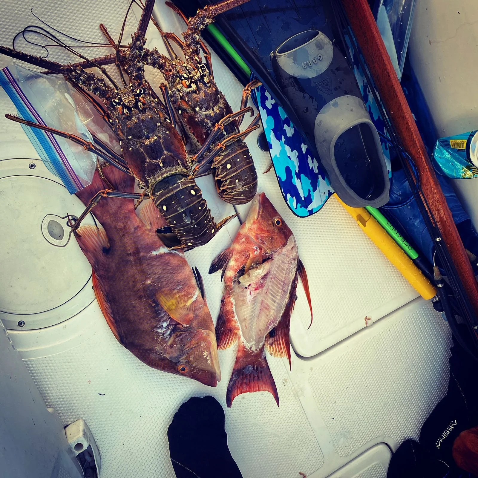 WhatsApp Image 2026-02-07 at 12.47.53 PM (4).jpeg