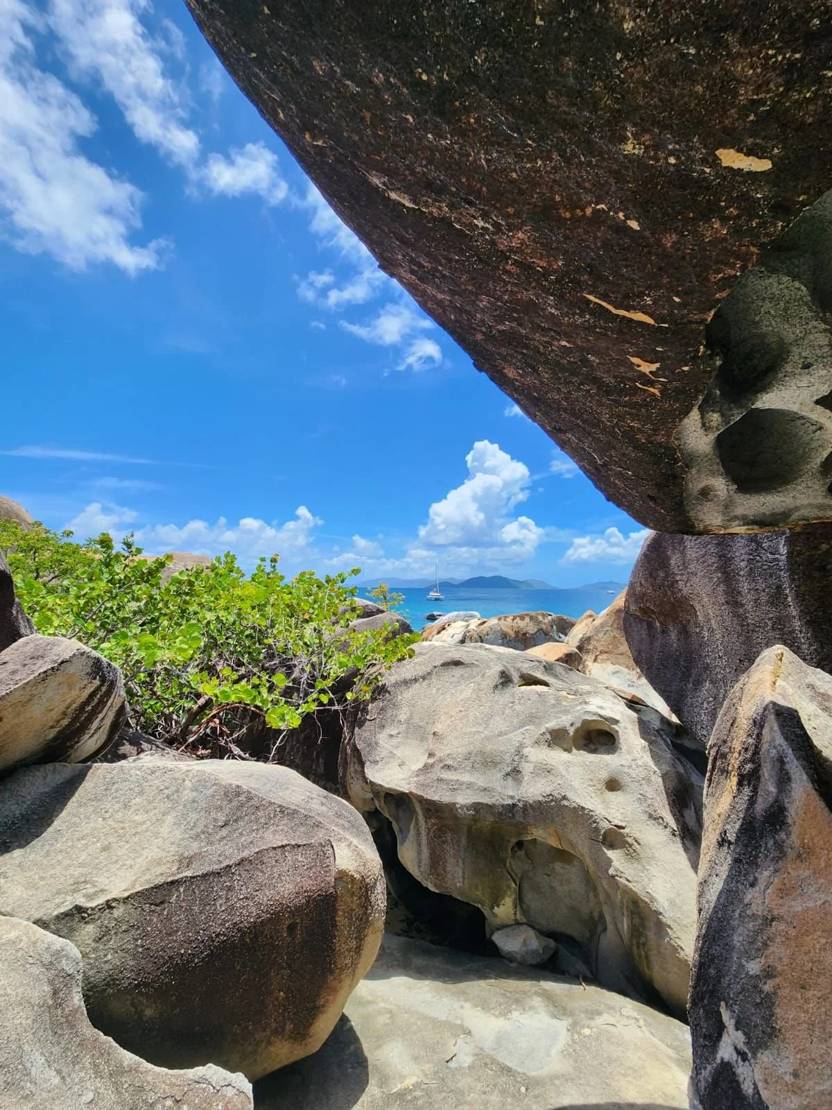 WhatsApp Image 2026-02-07 at 12.47.48 PM (6).jpeg