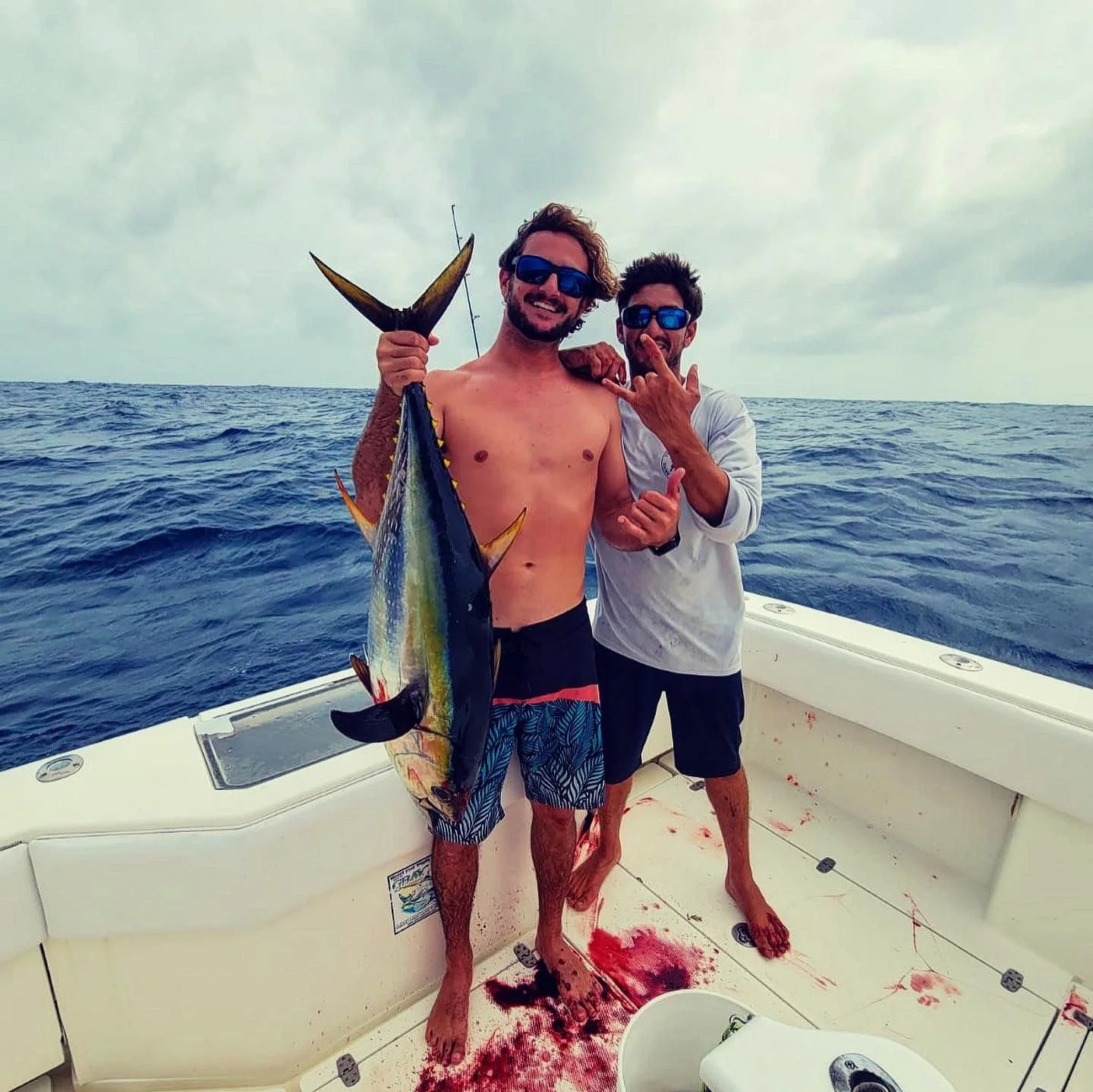 WhatsApp Image 2026-02-07 at 12.47.51 PM (6).jpeg