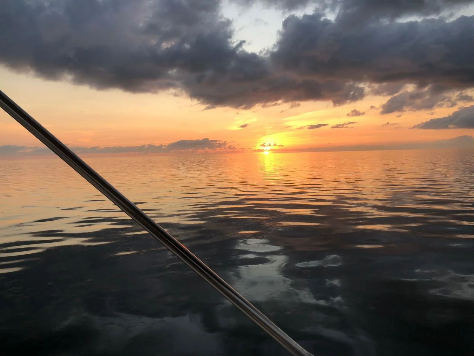 WhatsApp Image 2026-02-07 at 12.47.54 PM (3).jpeg