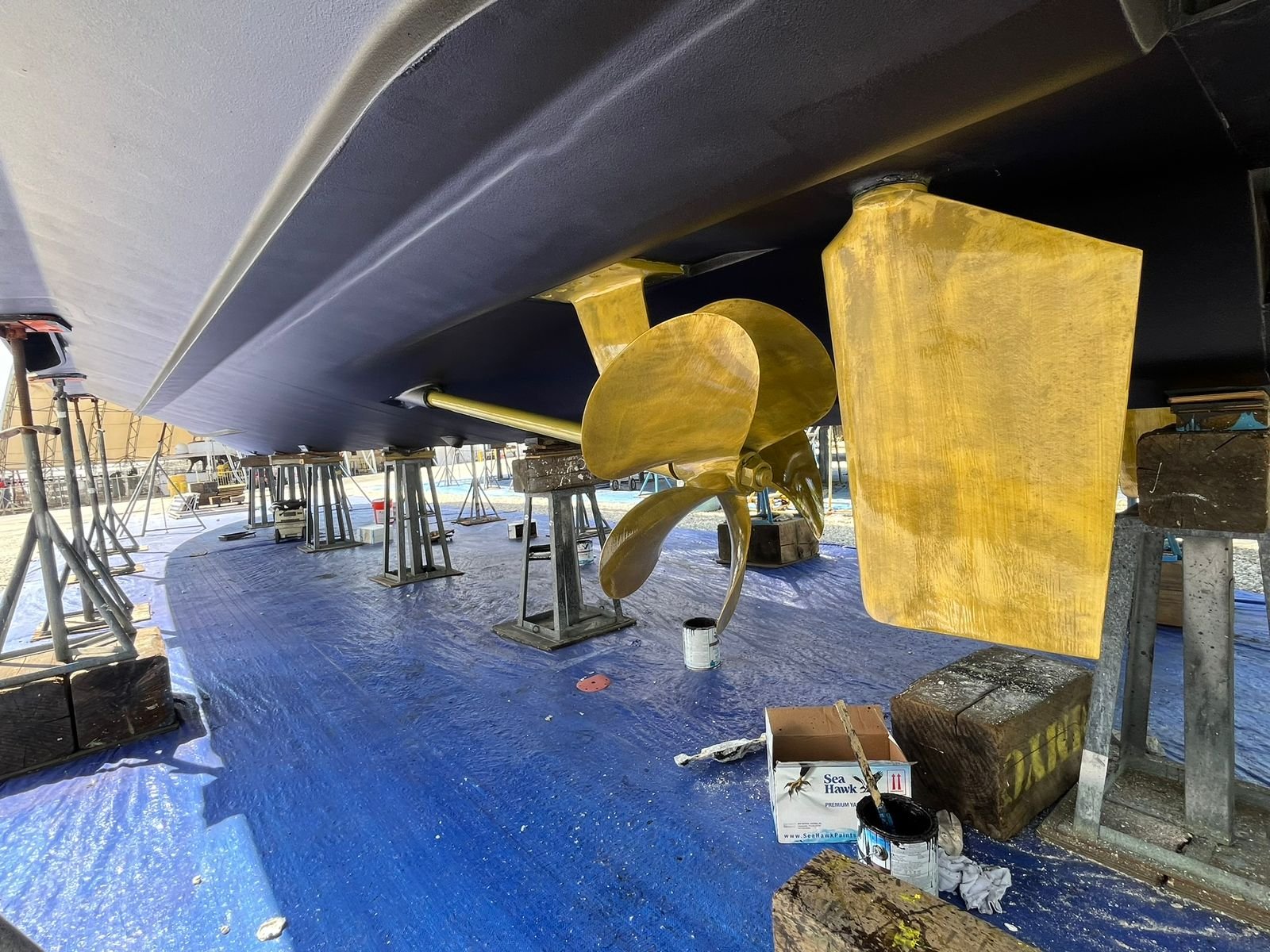 WhatsApp Image 2026-02-07 at 12.19.50 PM.jpeg