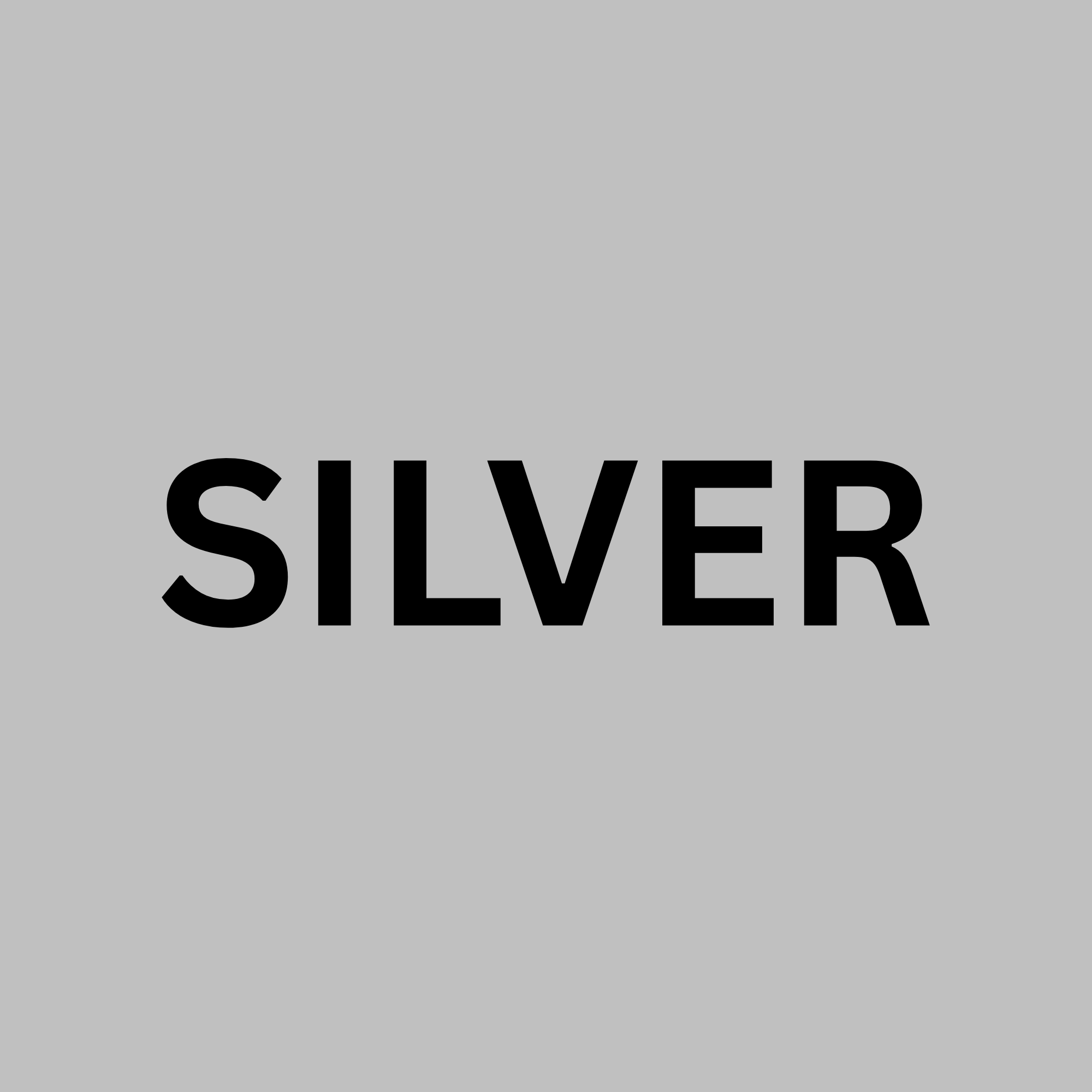 Silver Party Package