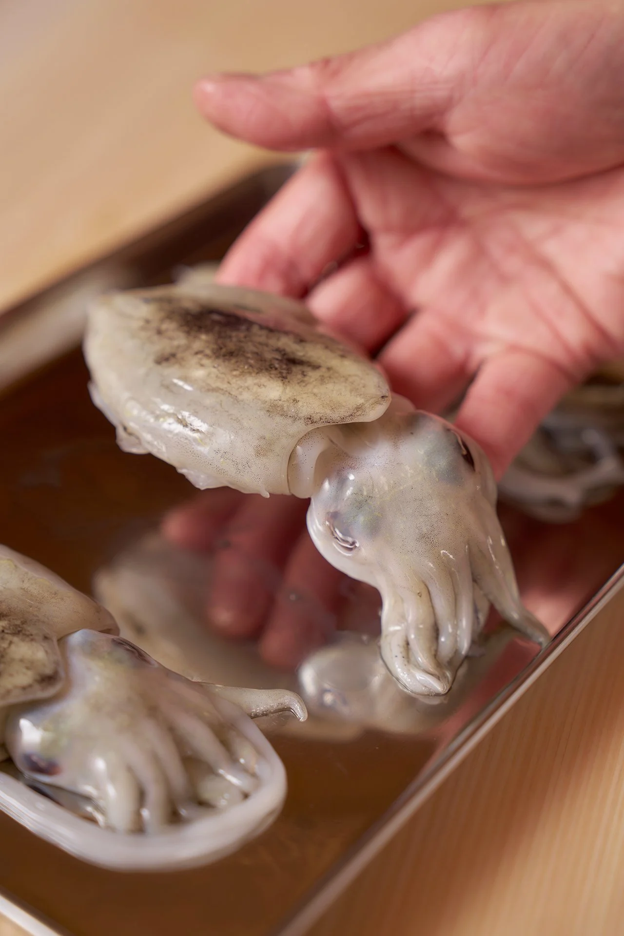 kumiko-room-squid.jpg