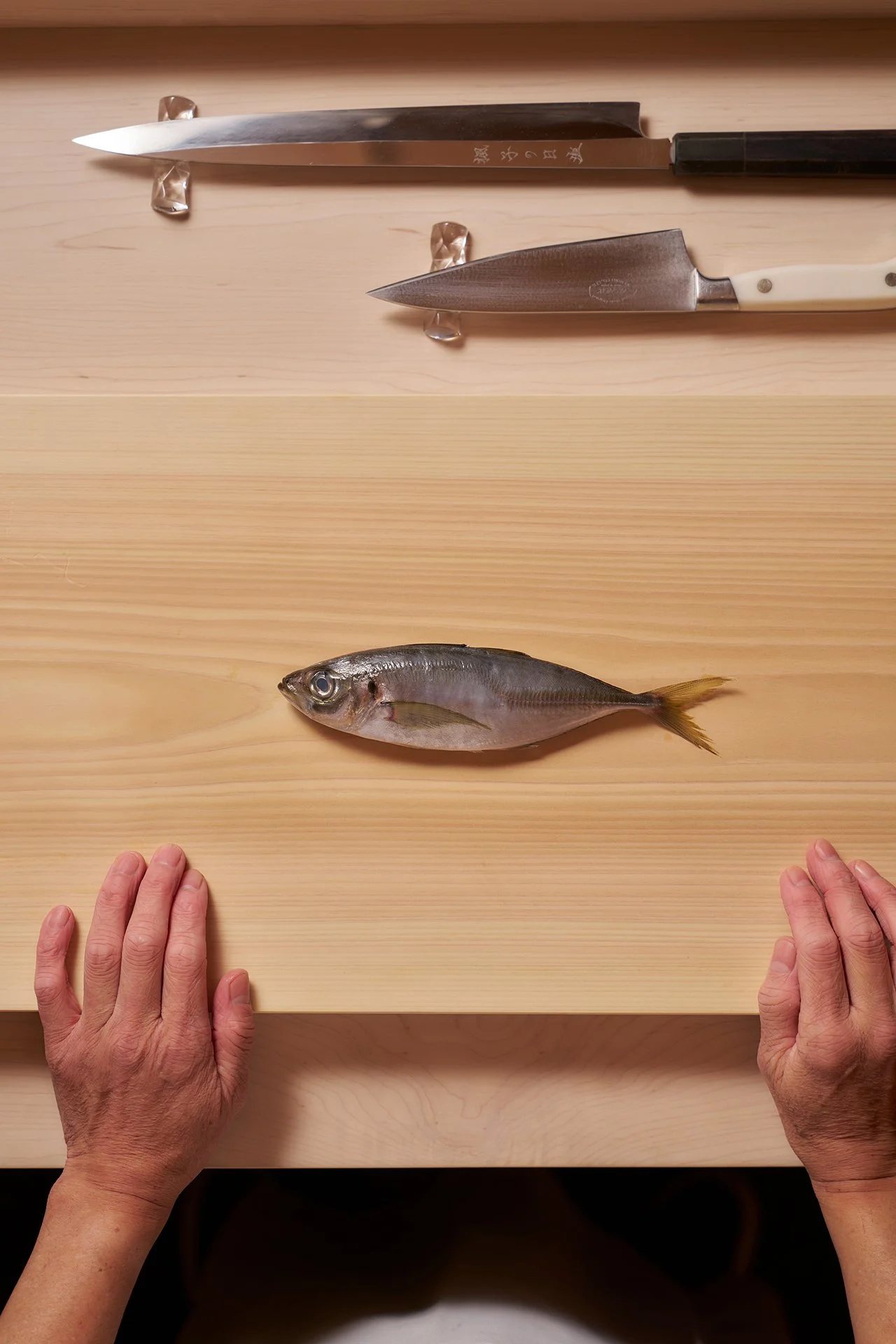 kumiko-room-fish-02.jpg