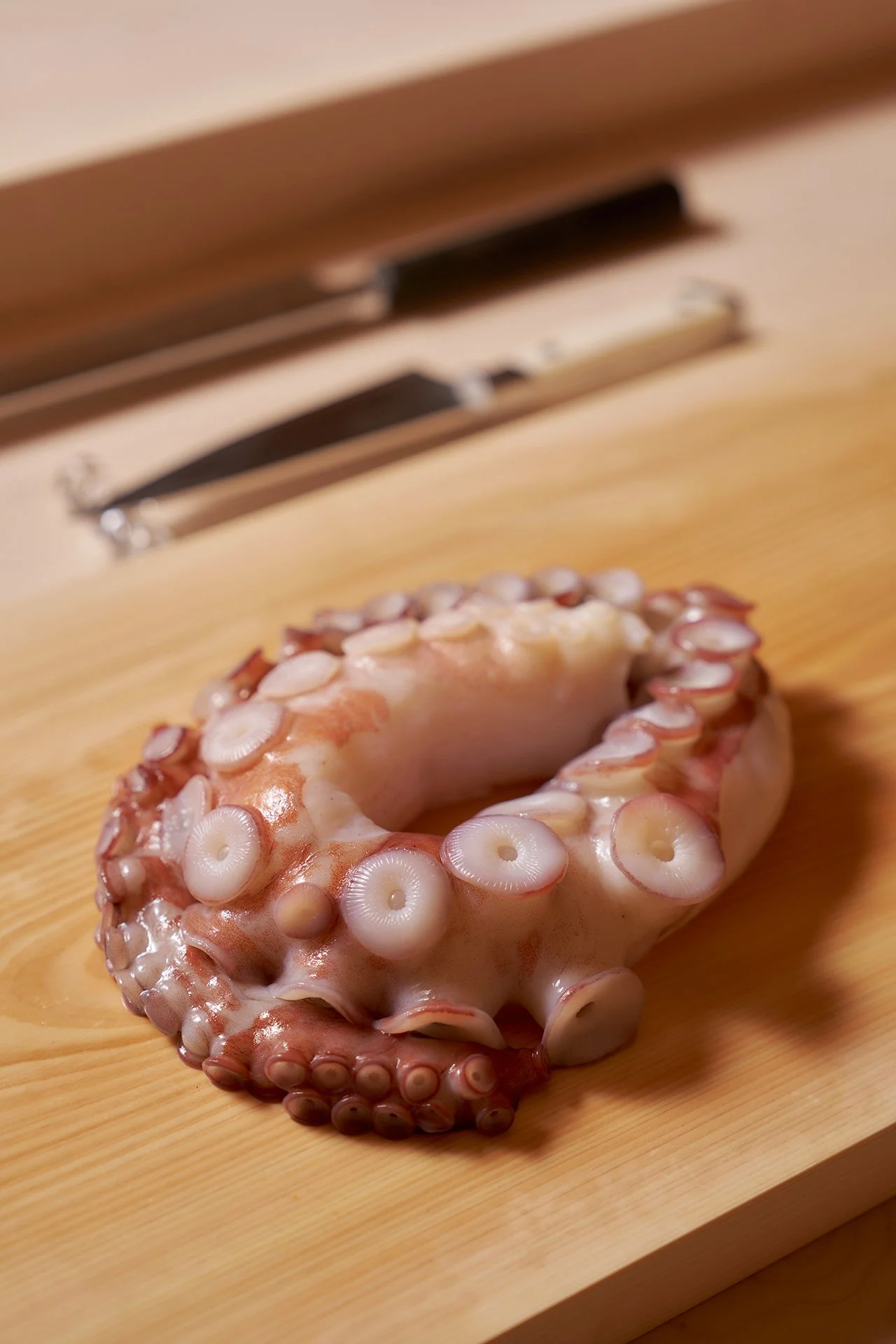 kumiko-room-octopus.jpg