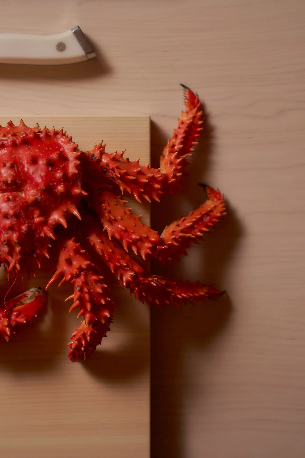 kumiko-room-crab.jpg