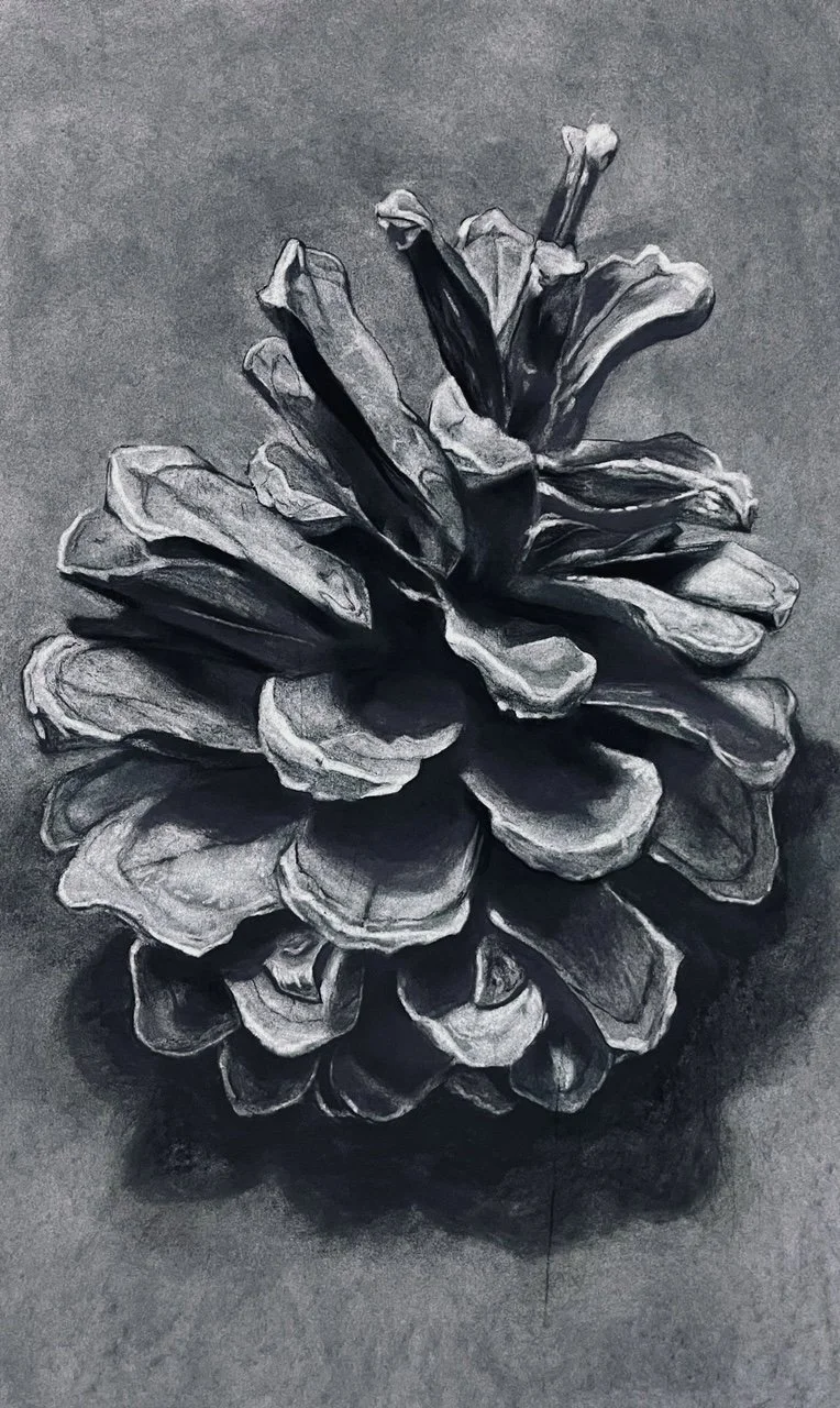 DRAWINGS