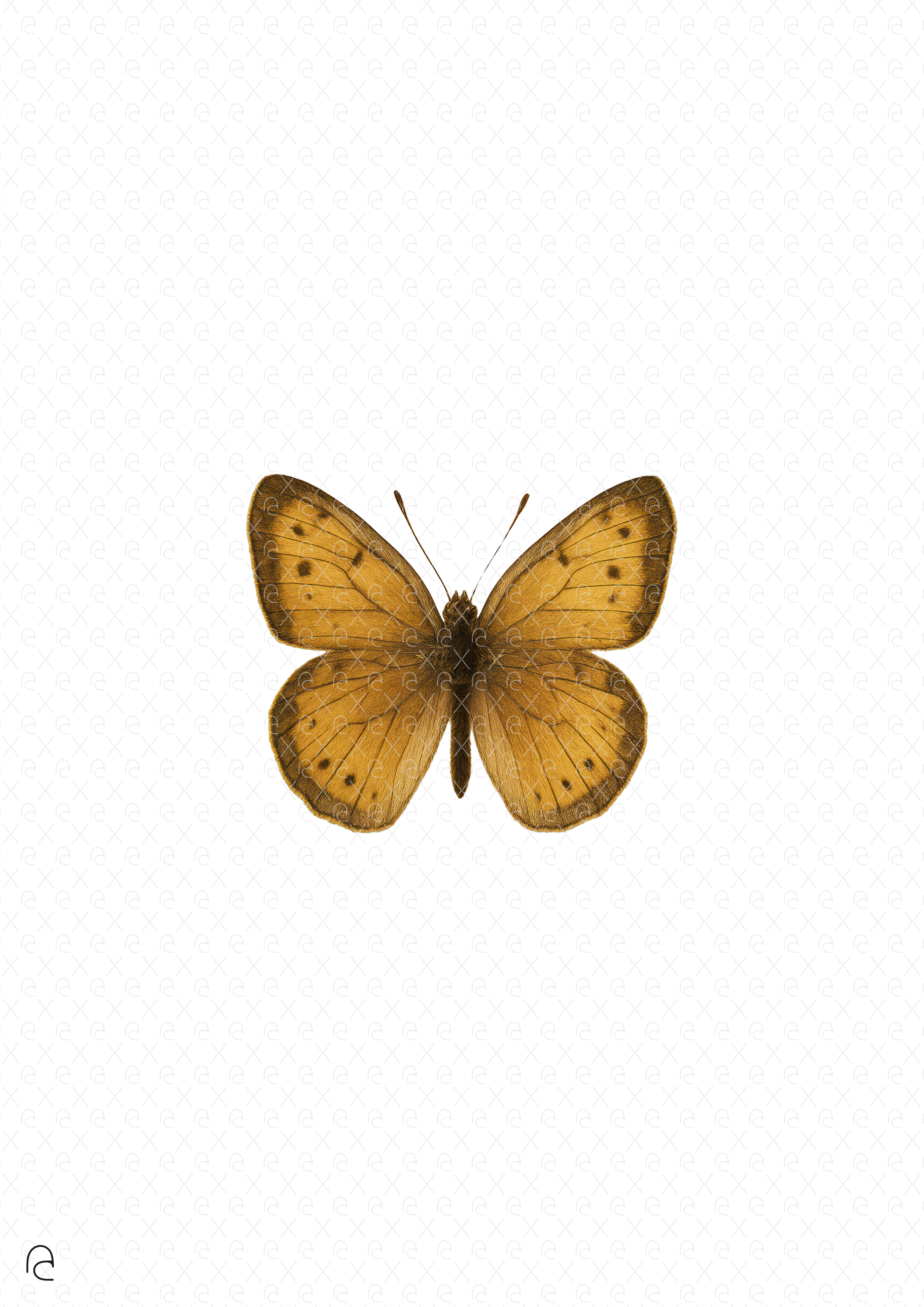 Butterfly yellow.png