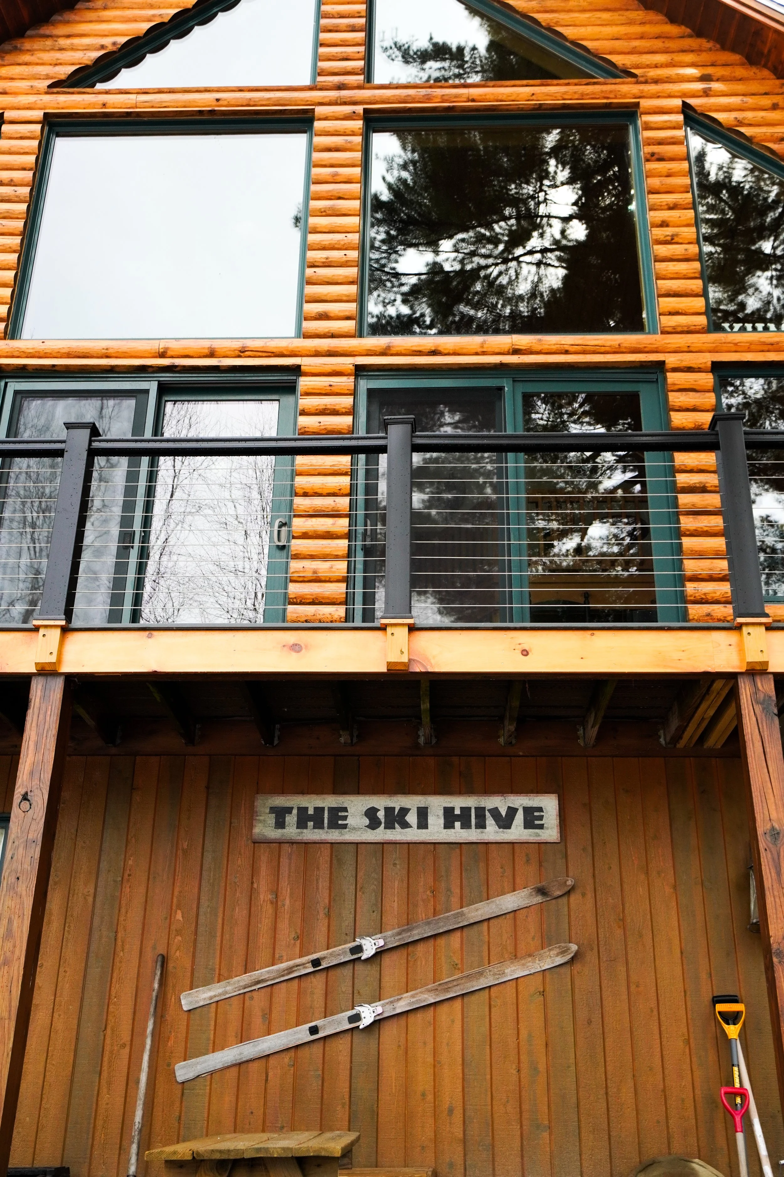 HIVE - ski.jpg