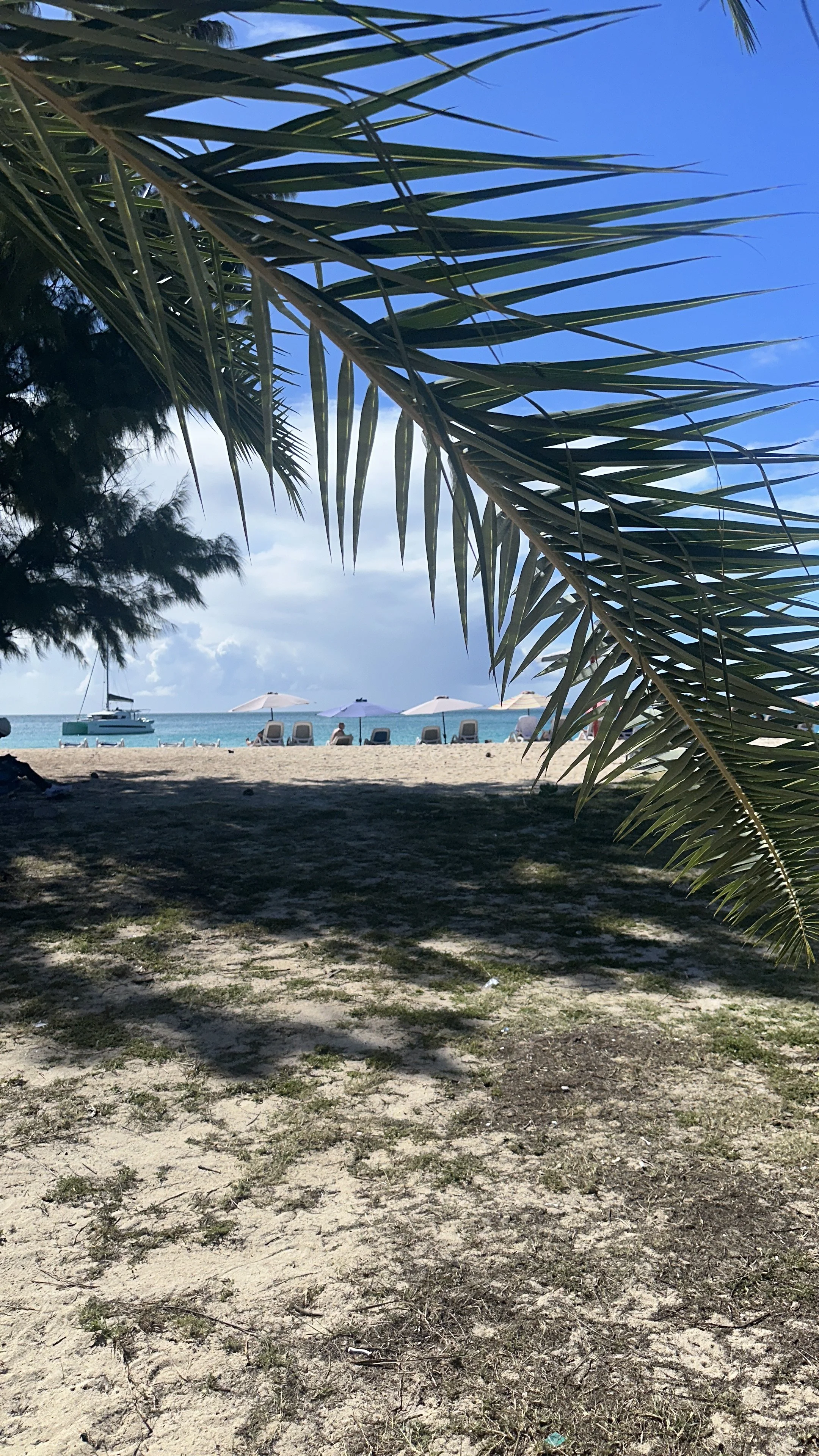 Beach scene with sandy shore, palm tree shadow, lounge chairs under umbrellas, sailboat docked offshore, and blue sky with clouds.