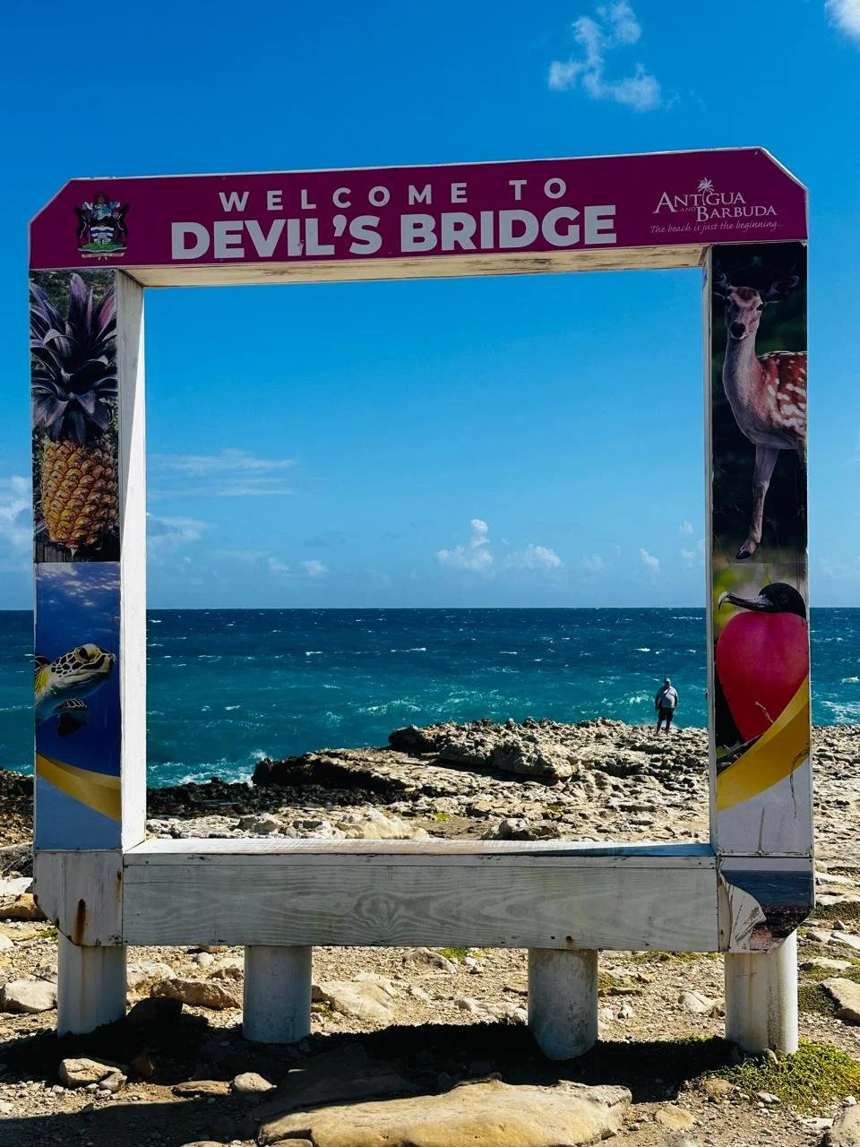 Beach scene with large decorative frame that says "Welcome to Devil's Bridge," with a view of ocean, rocky shore, and a person standing near the water. The frame has colorful tropical imagery, including pineapples, a turtle, a deer, and a parrot. The
