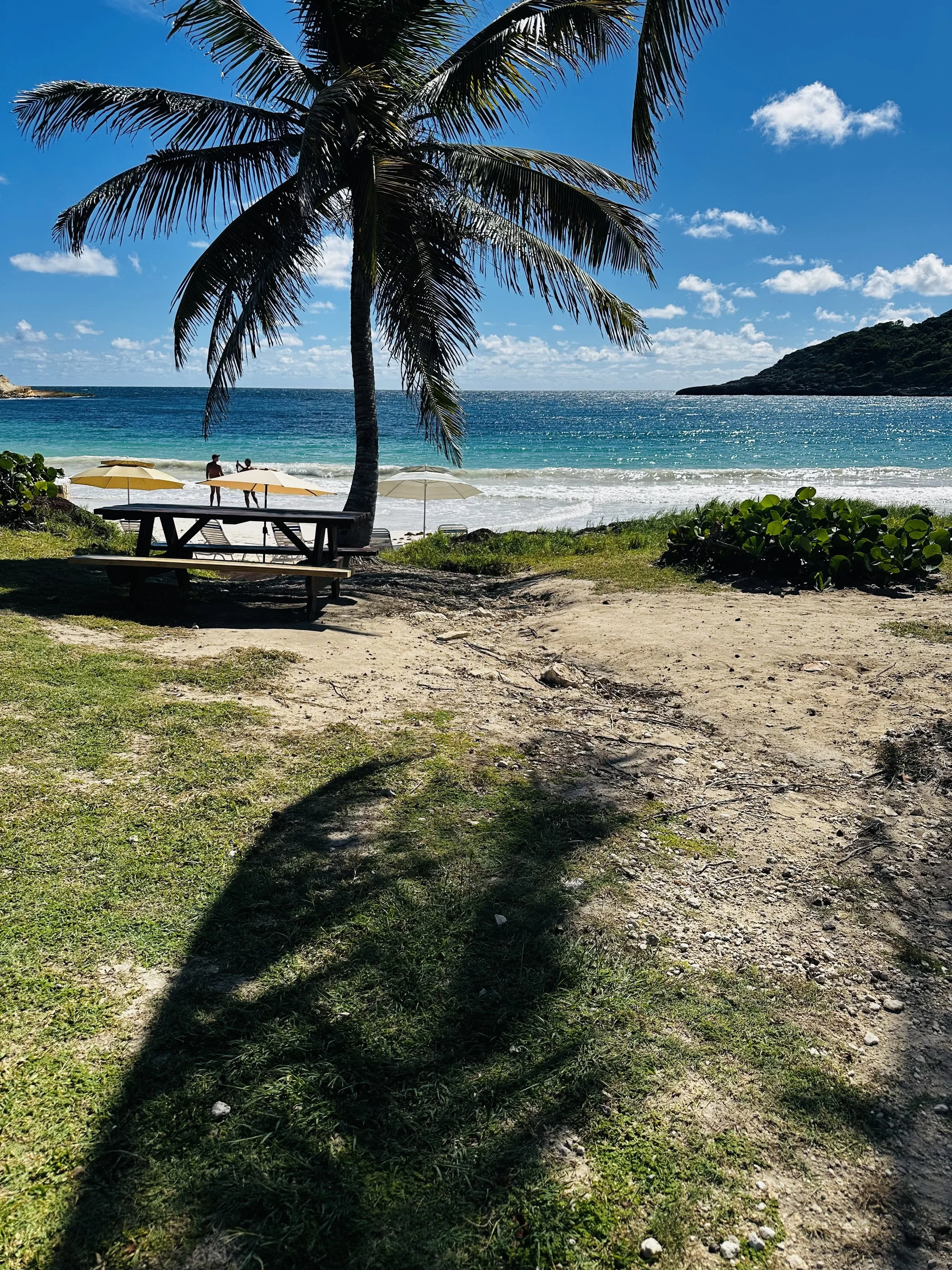 A tropical beach scene with a large palm tree casting a shadow on the sandy ground, a picnic table underneath the tree, yellow umbrellas on the beach, and people near the ocean waves under a blue sky with a few clouds.