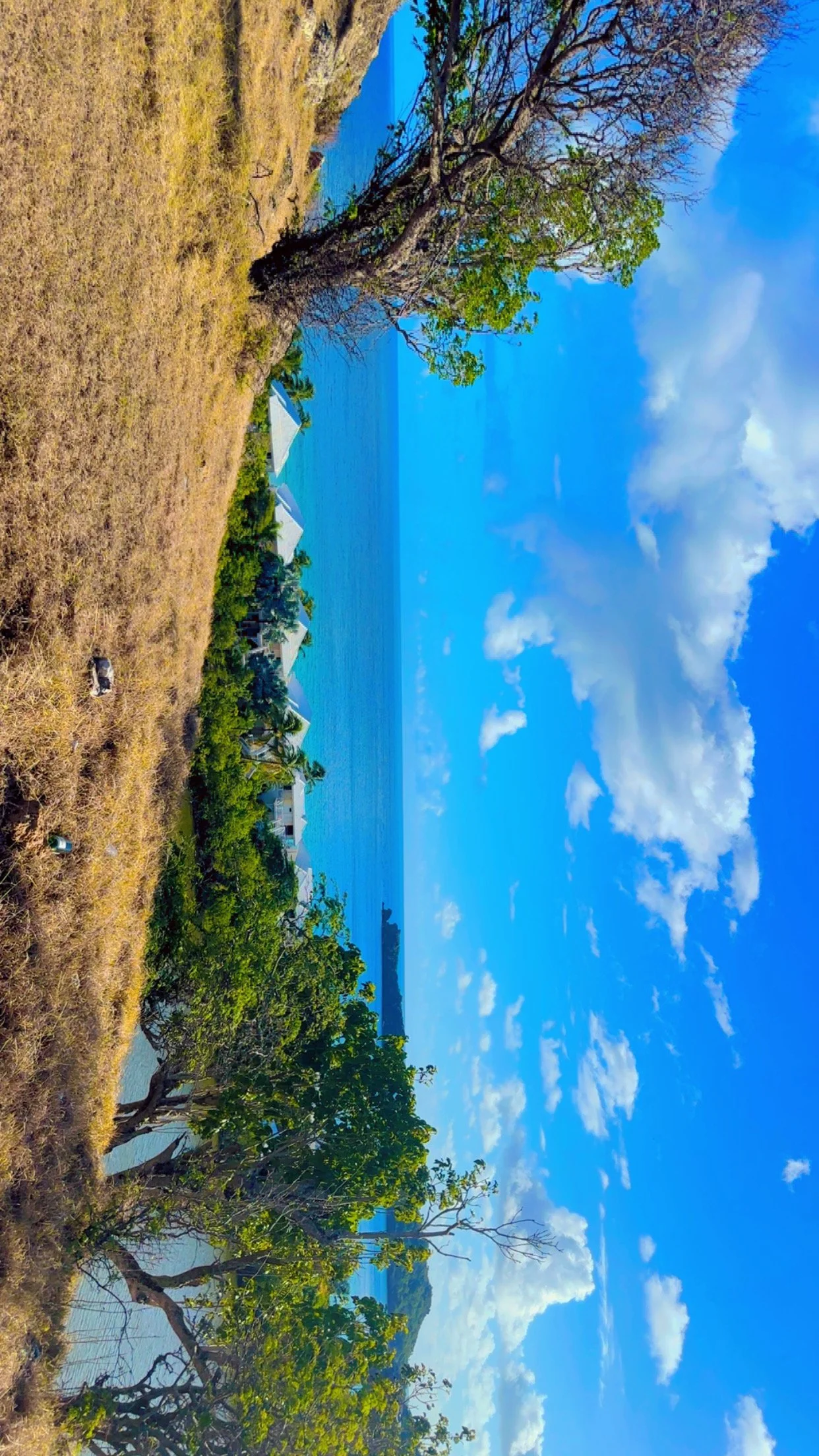 A tropical landscape with dry grass, green trees, and white buildings near the water, under a bright blue sky with scattered clouds.