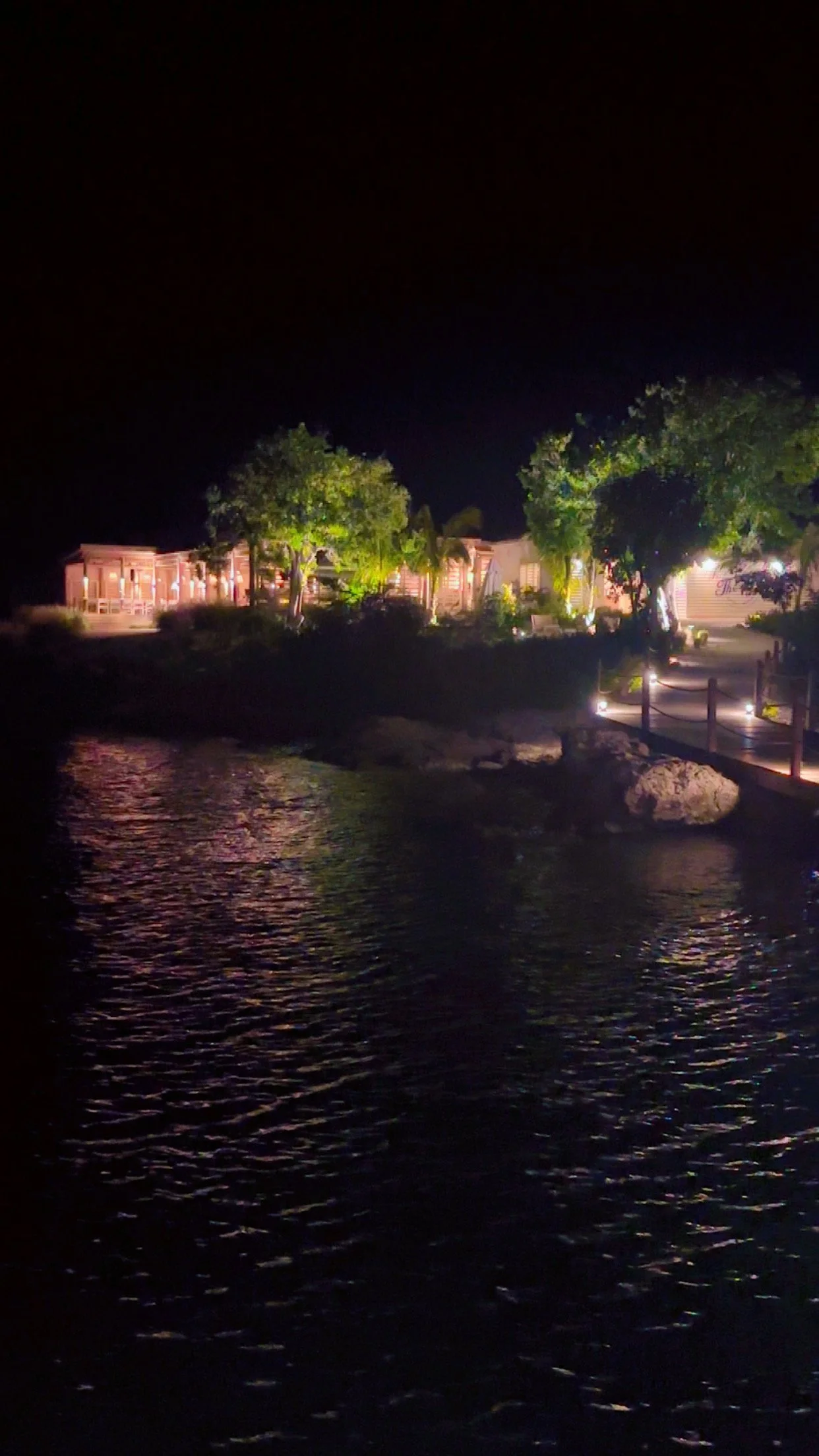 Night view of a waterfront with trees and a building lit up with warm lights along the water's edge.