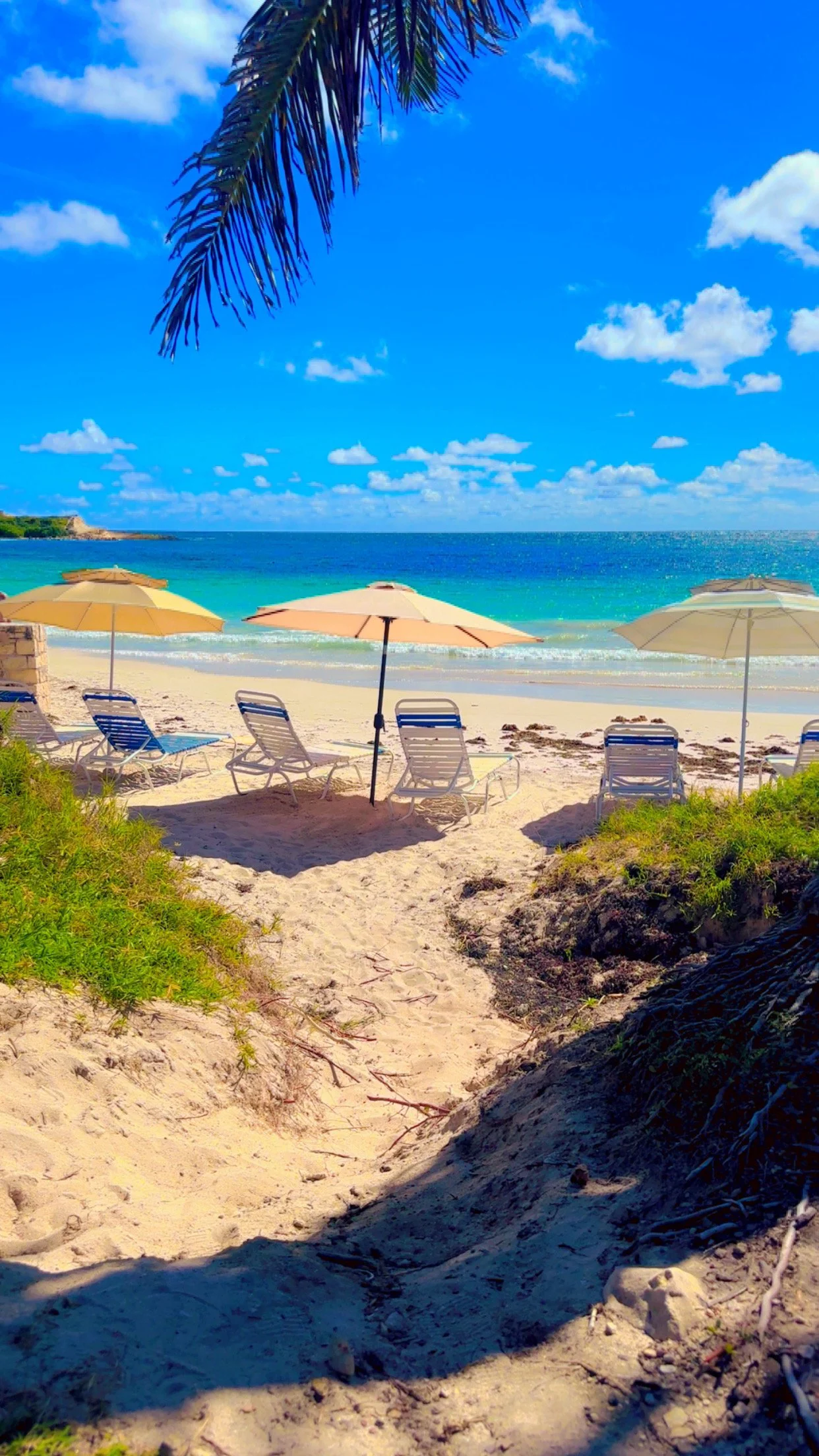Sandy beach with four lounge chairs and three umbrellas facing the ocean, under a partly cloudy blue sky, with a palm tree branch over the scene.