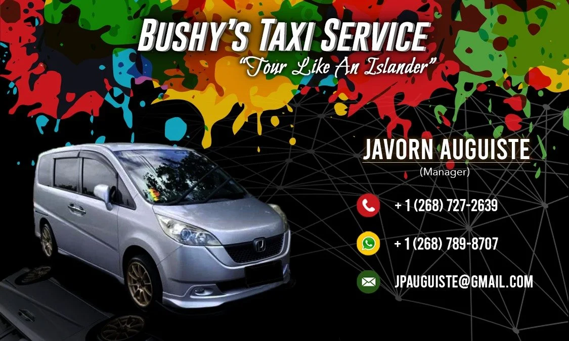 Business card for Bushy's Taxi Service featuring a silver van, colorful paint splashes, and contact information including phone, WhatsApp, and email.