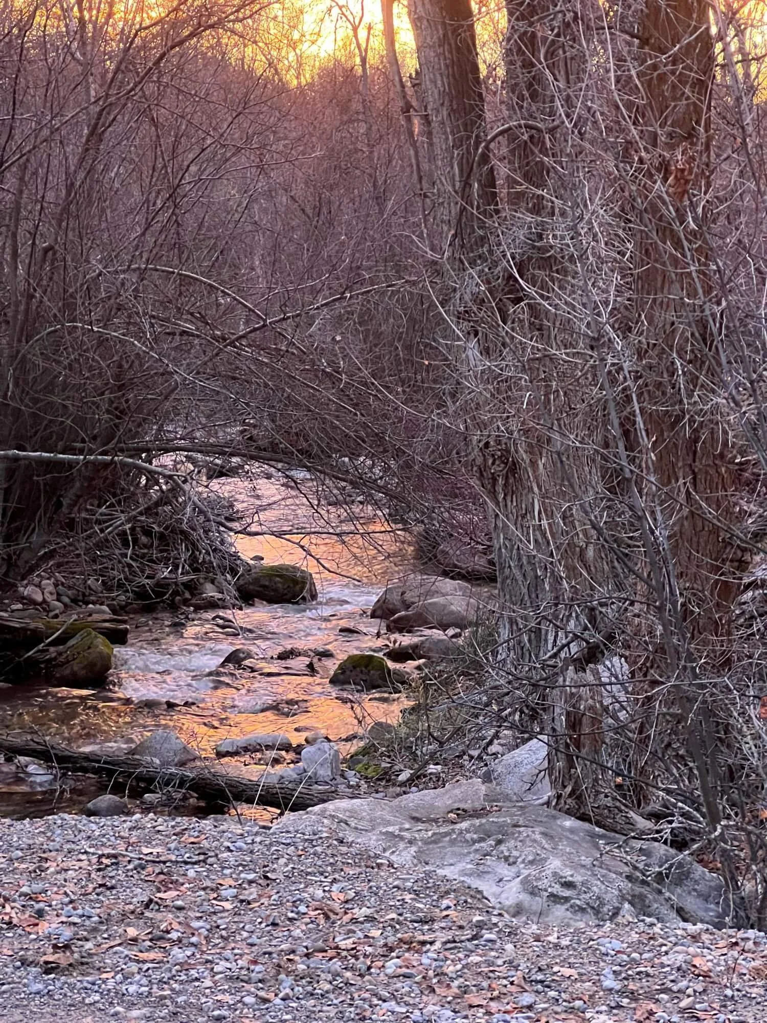 What Happened When A Traditional Mormon Took a Creative Mindfulness Class