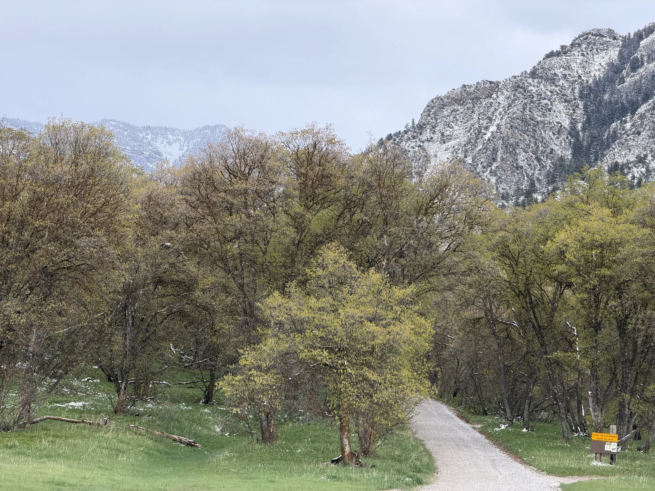 spring mountain scene with a fresh snowcap