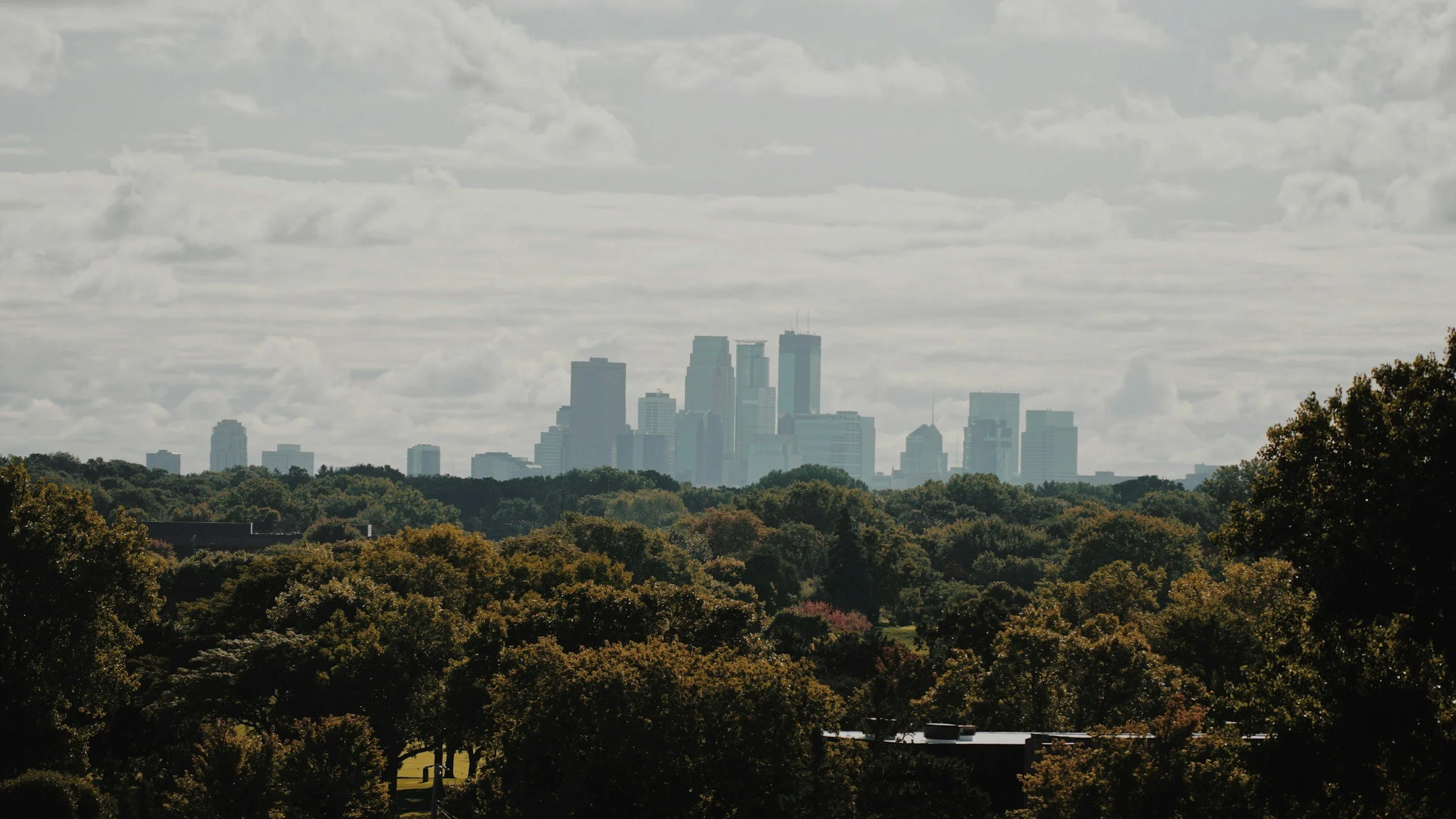 A city skyline visible through a large expanse of trees with a partly cloudy sky overhead.