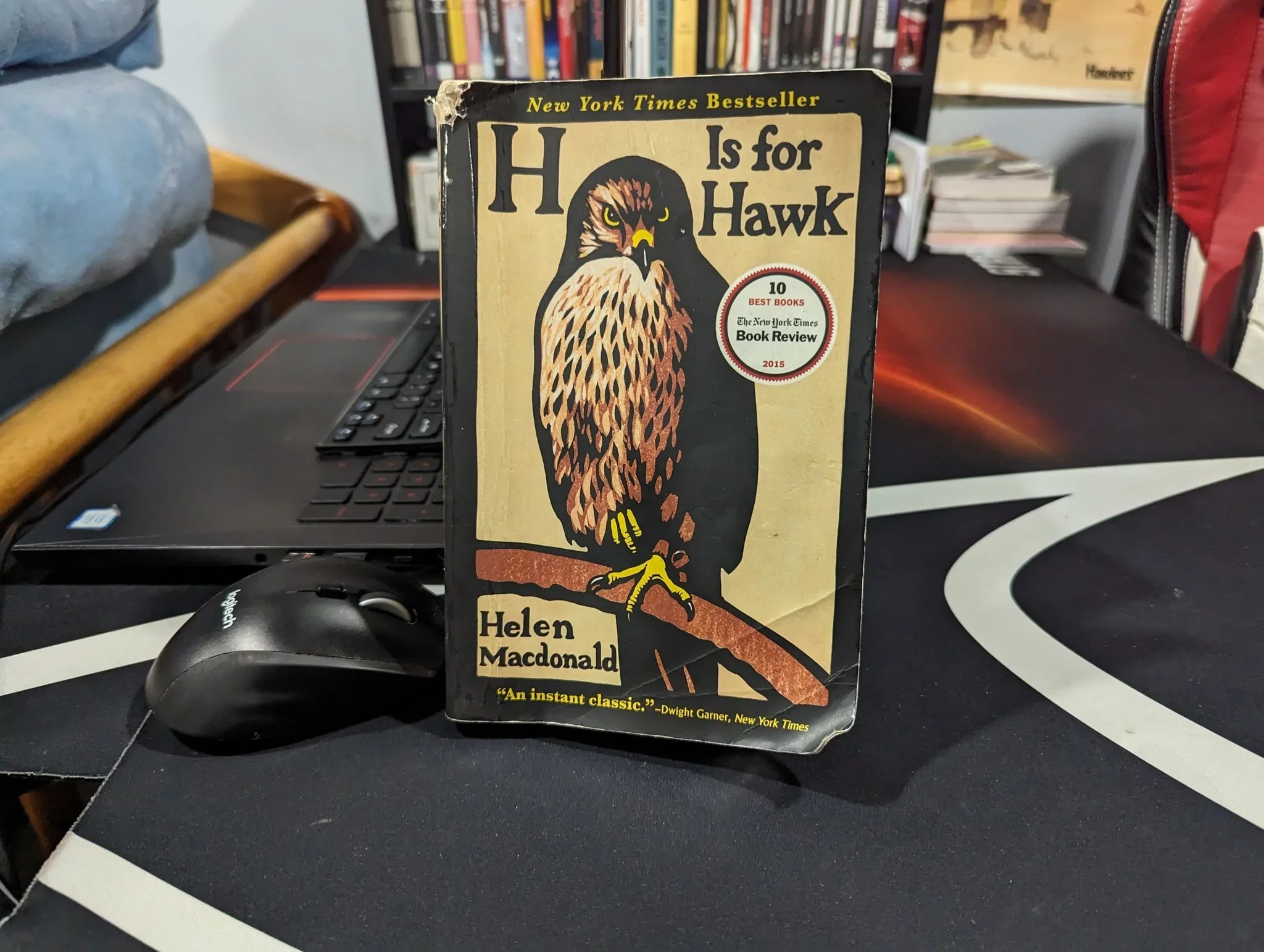But What Is Grief, If Not Love Persevering?: H is for Hawk Review