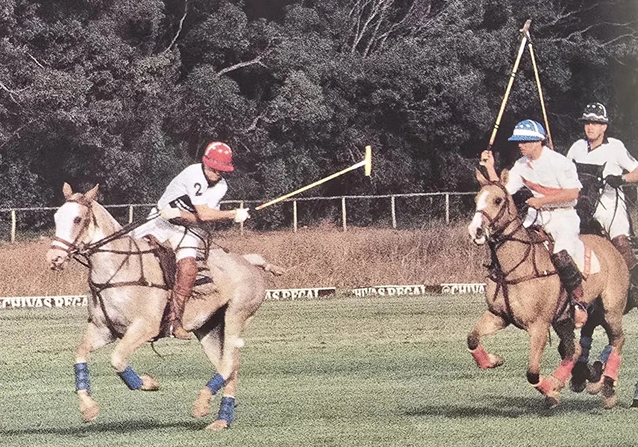 Polo%2BQdM.jpg
